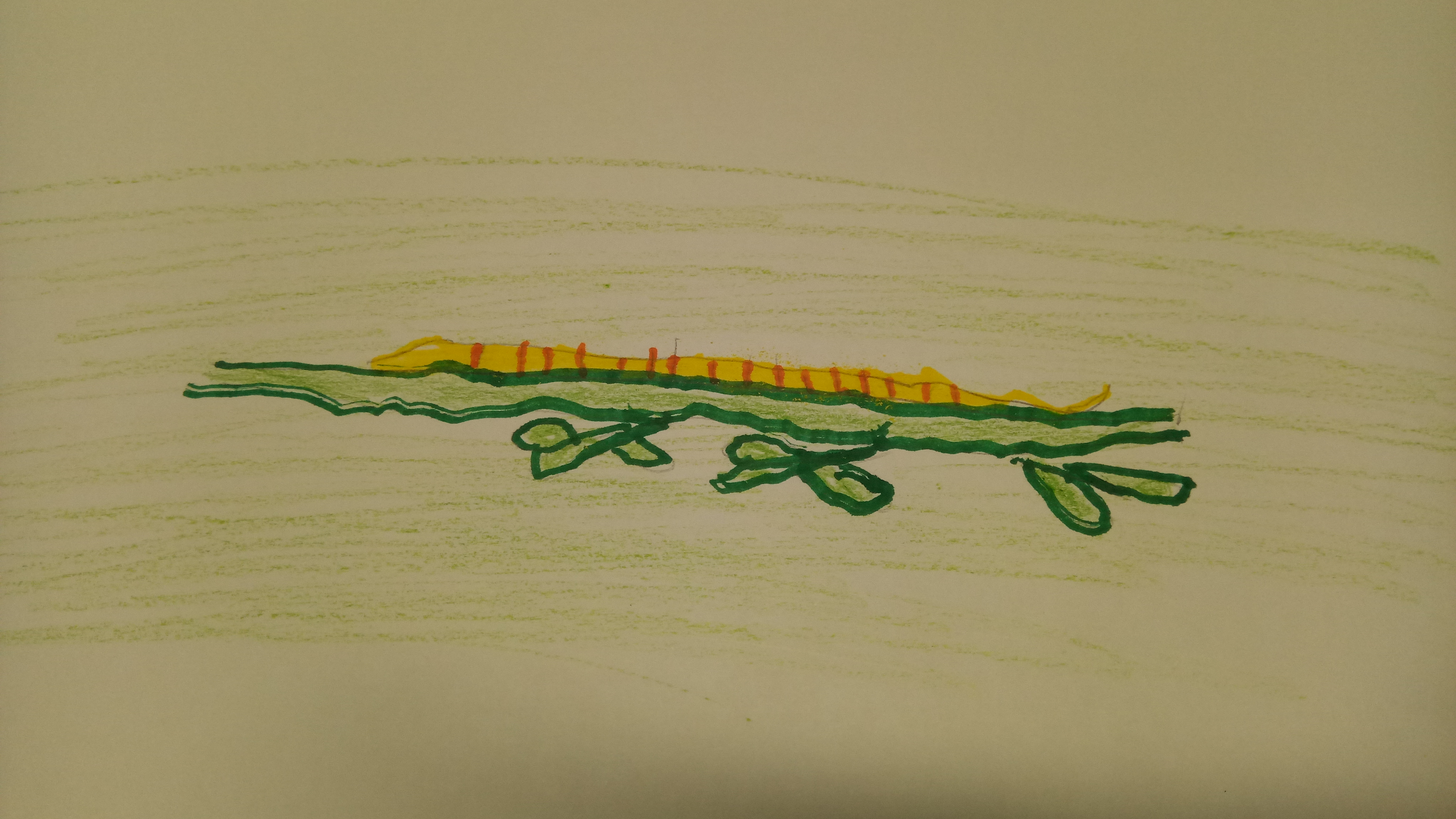 Ilustração de uma lagarta encontrada na horta.
