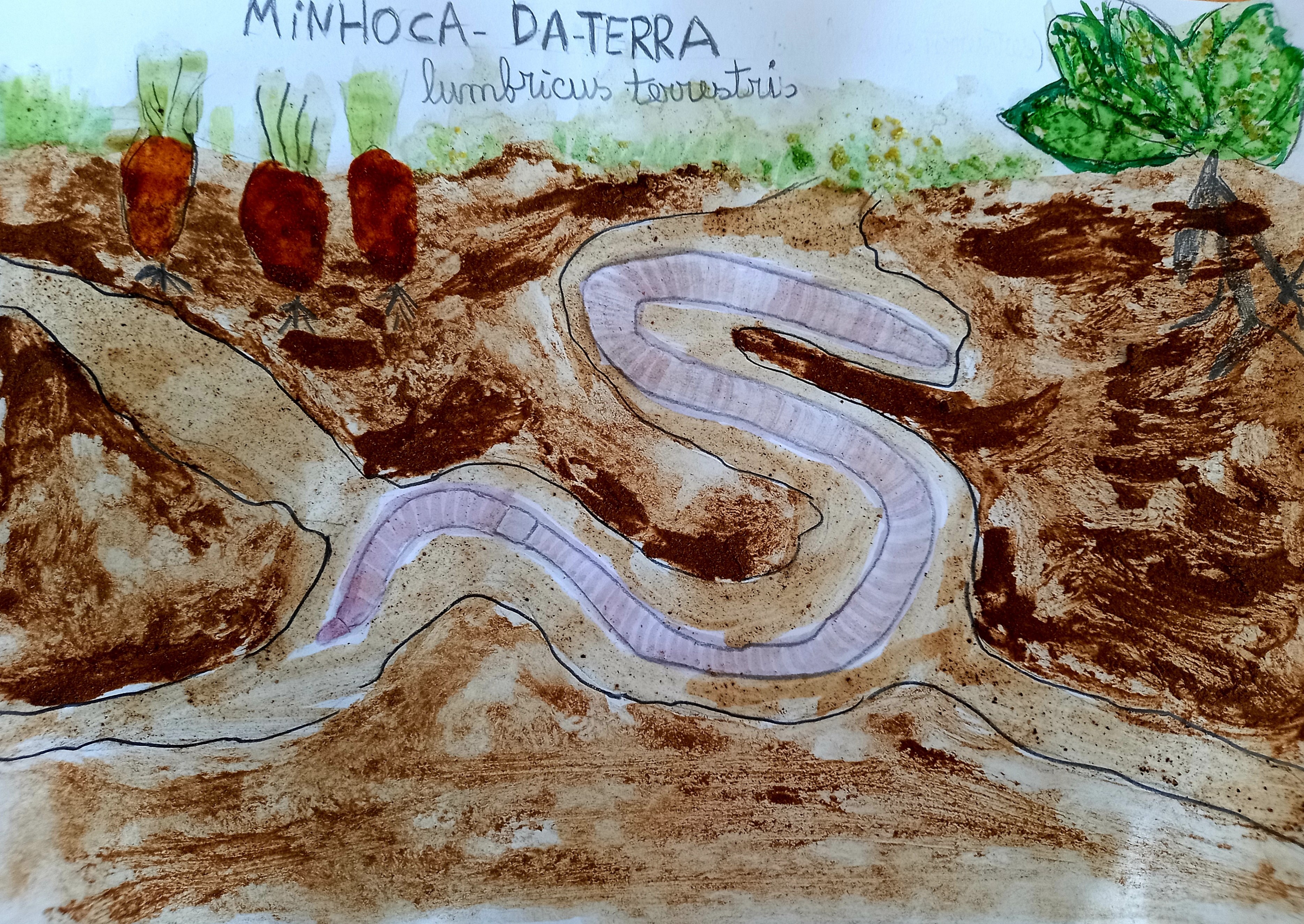 Minhoca-da-terra (lumbricus terrestris)