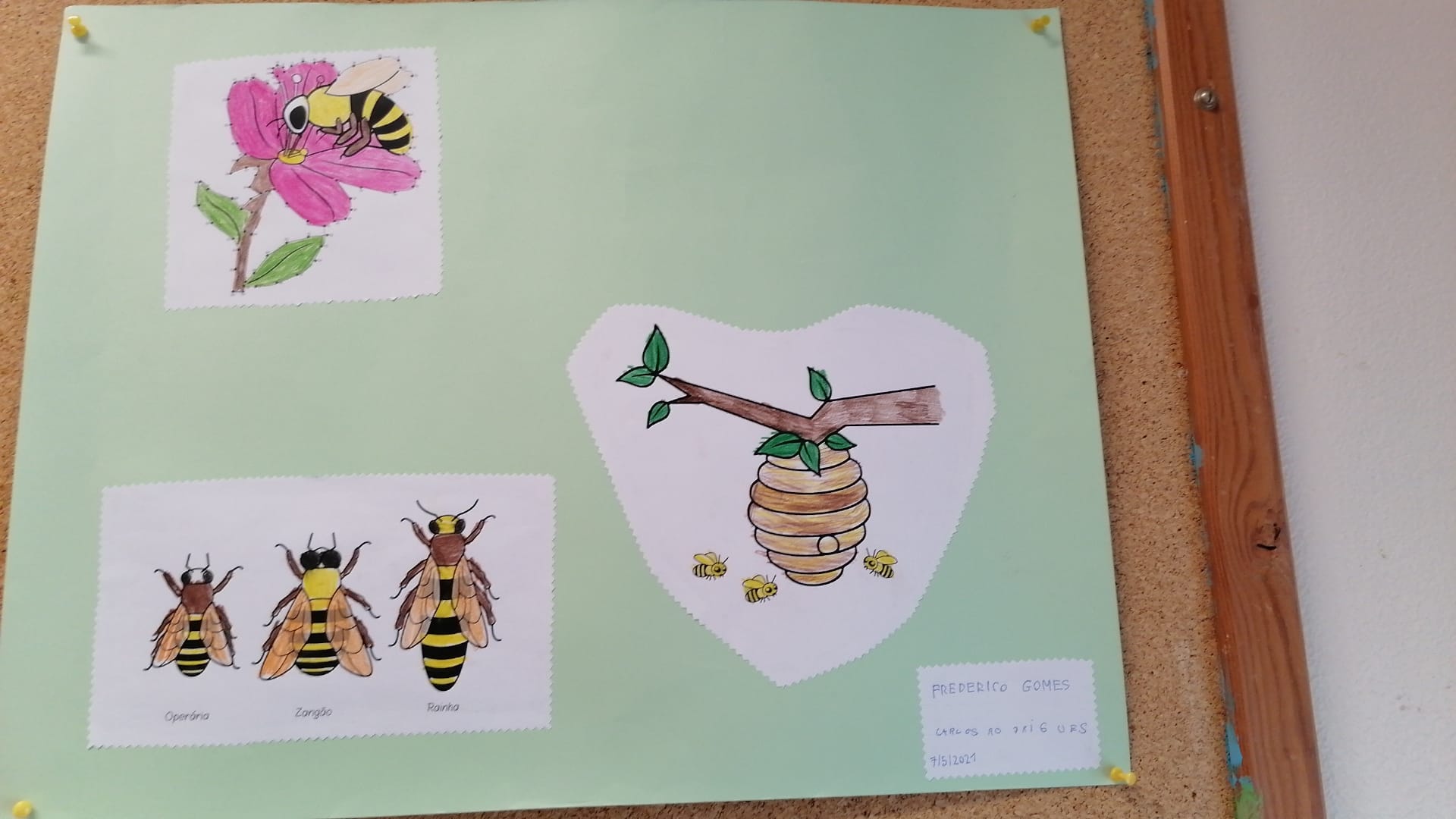Ilustração da abelha