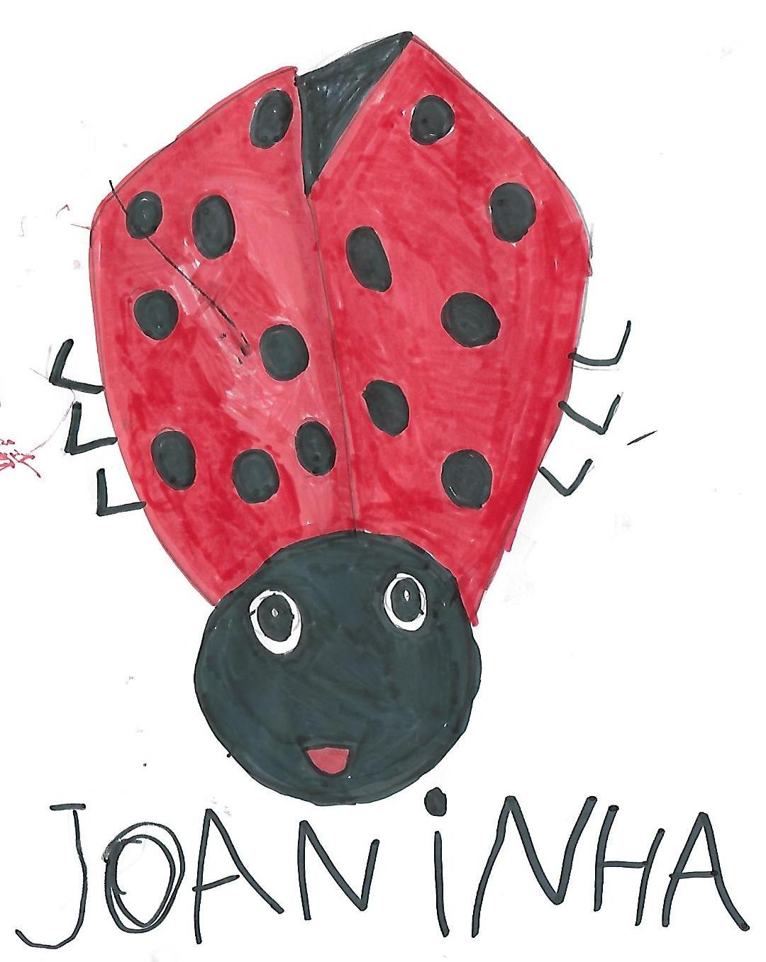 Coccinellidae - Joaninha -desenho da Sofia de 5 anos