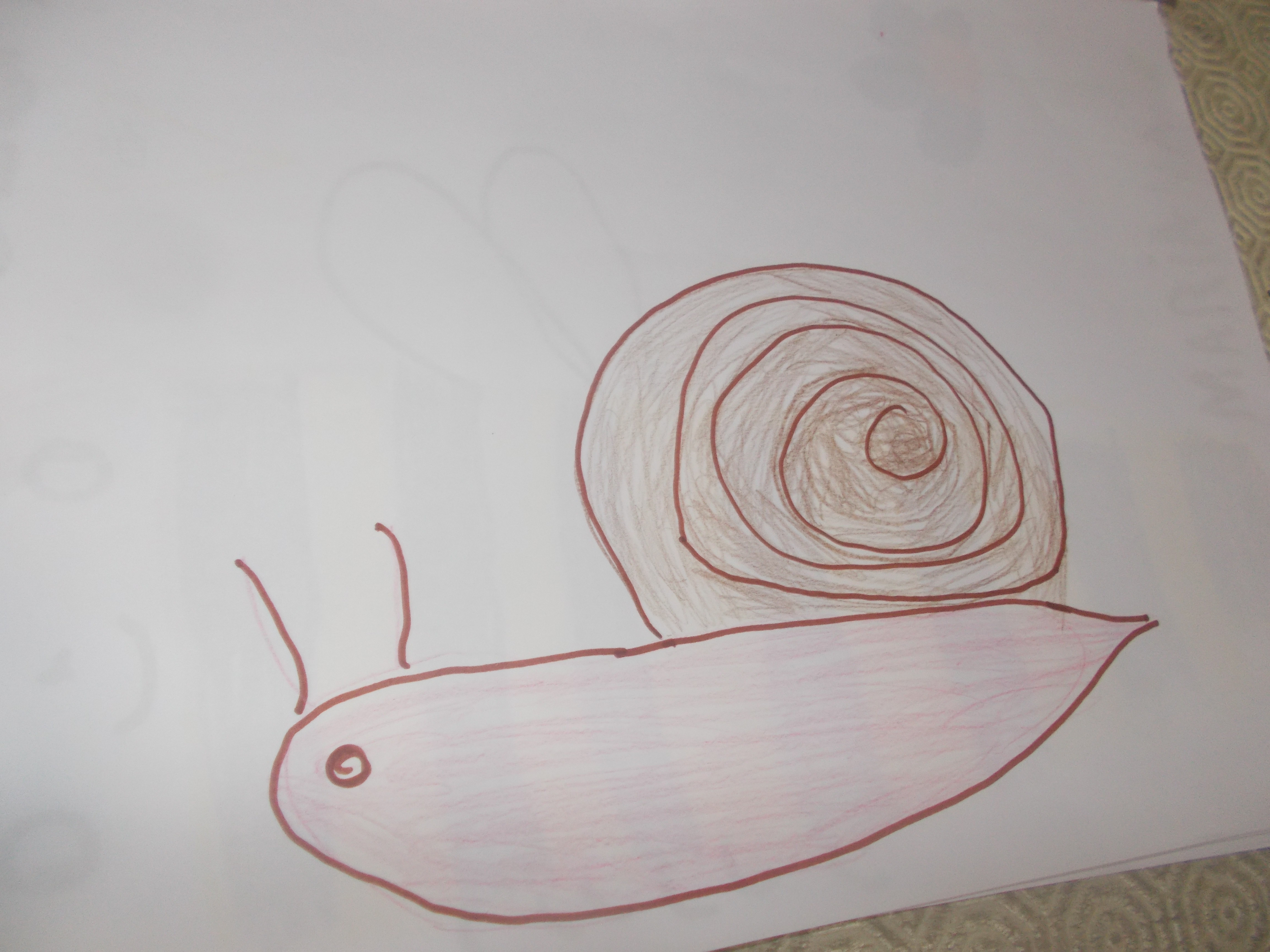 Caracol- desenho do Guilherme de 5 anos.