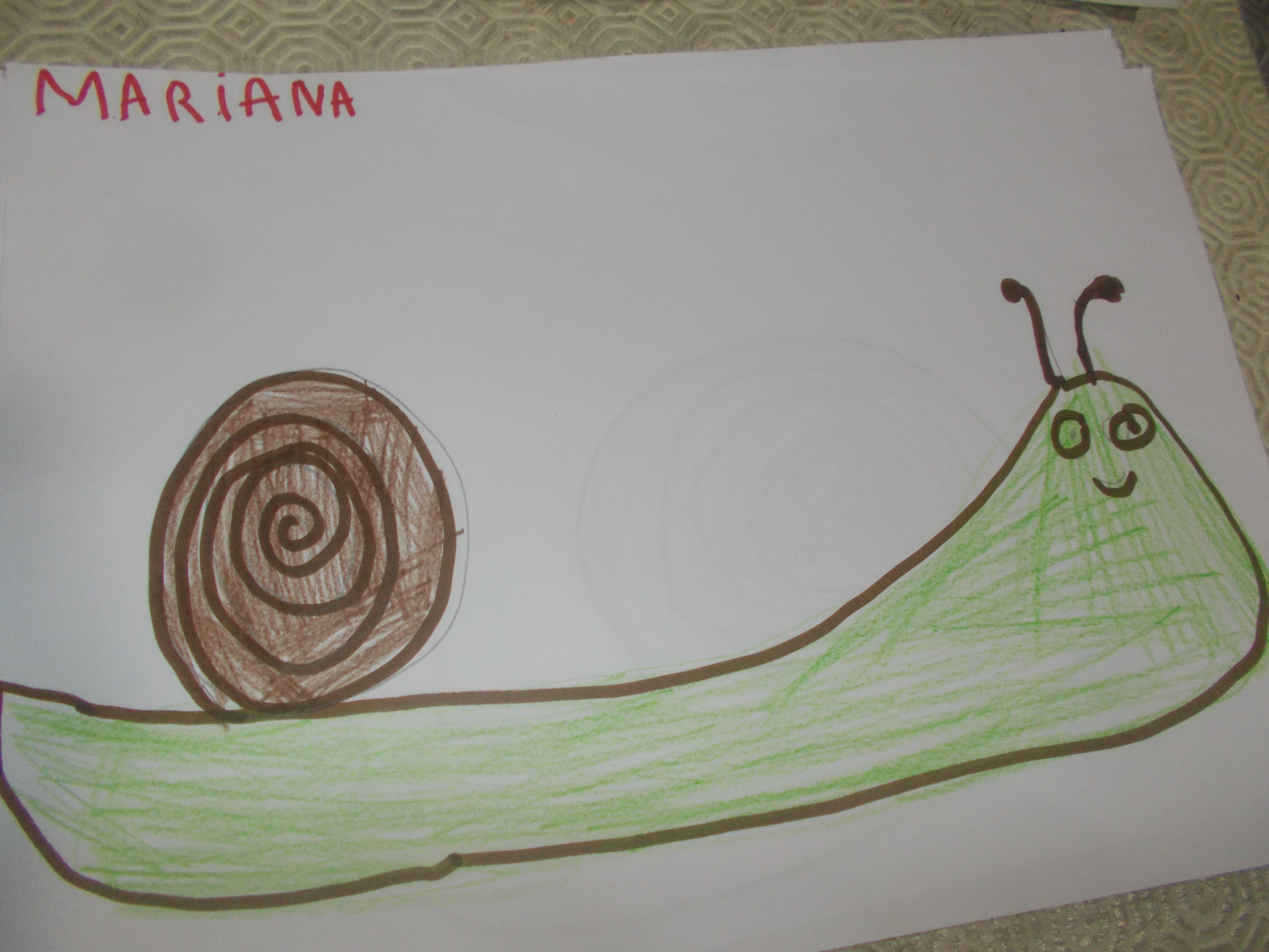 Caracol -desenho da Mariana de 5 anos
