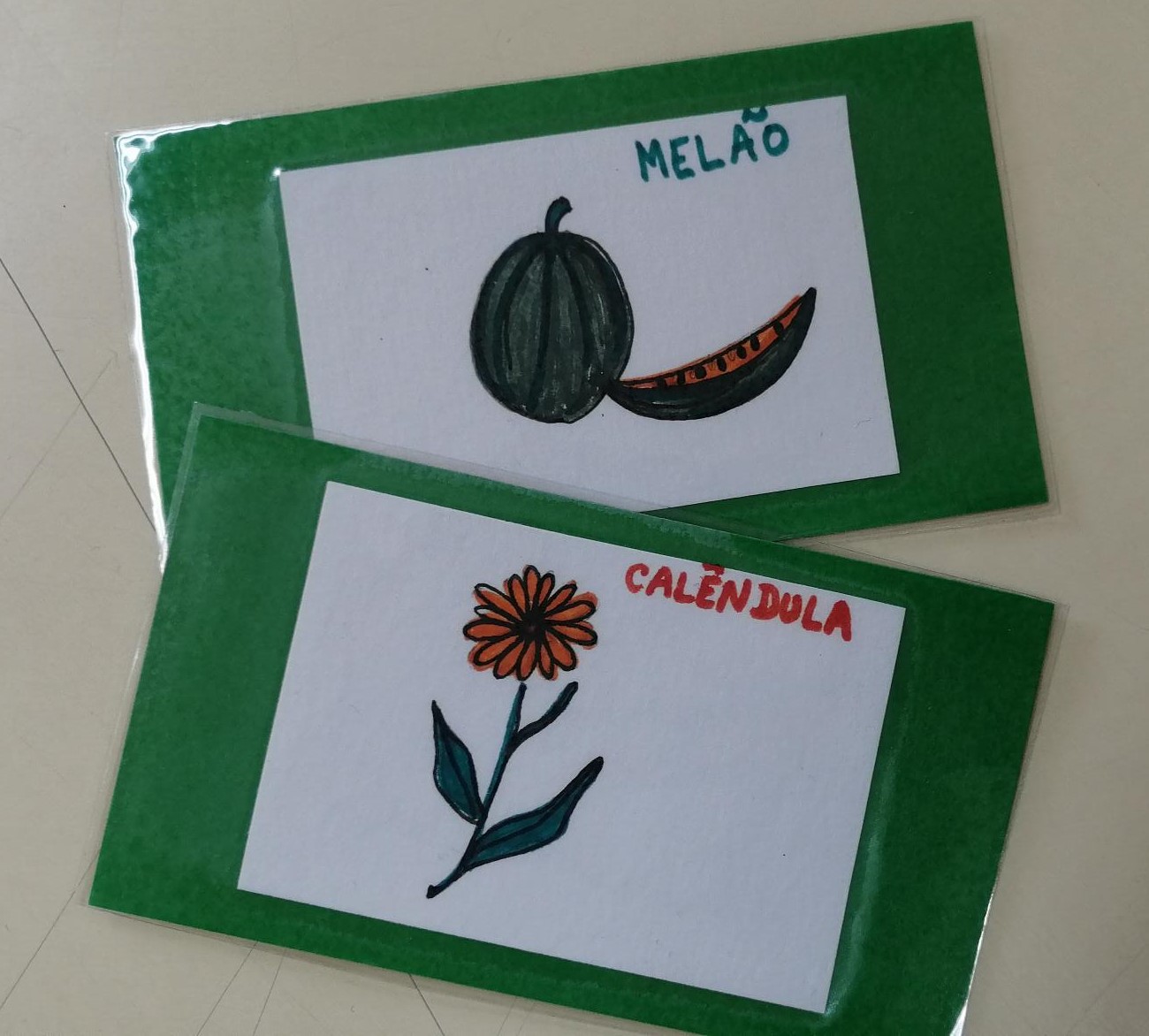 Plantas companheiras: melão-calendula