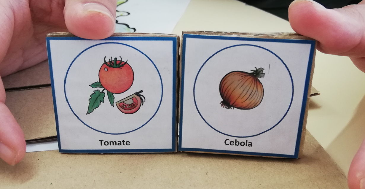 Tomate e Cebola
