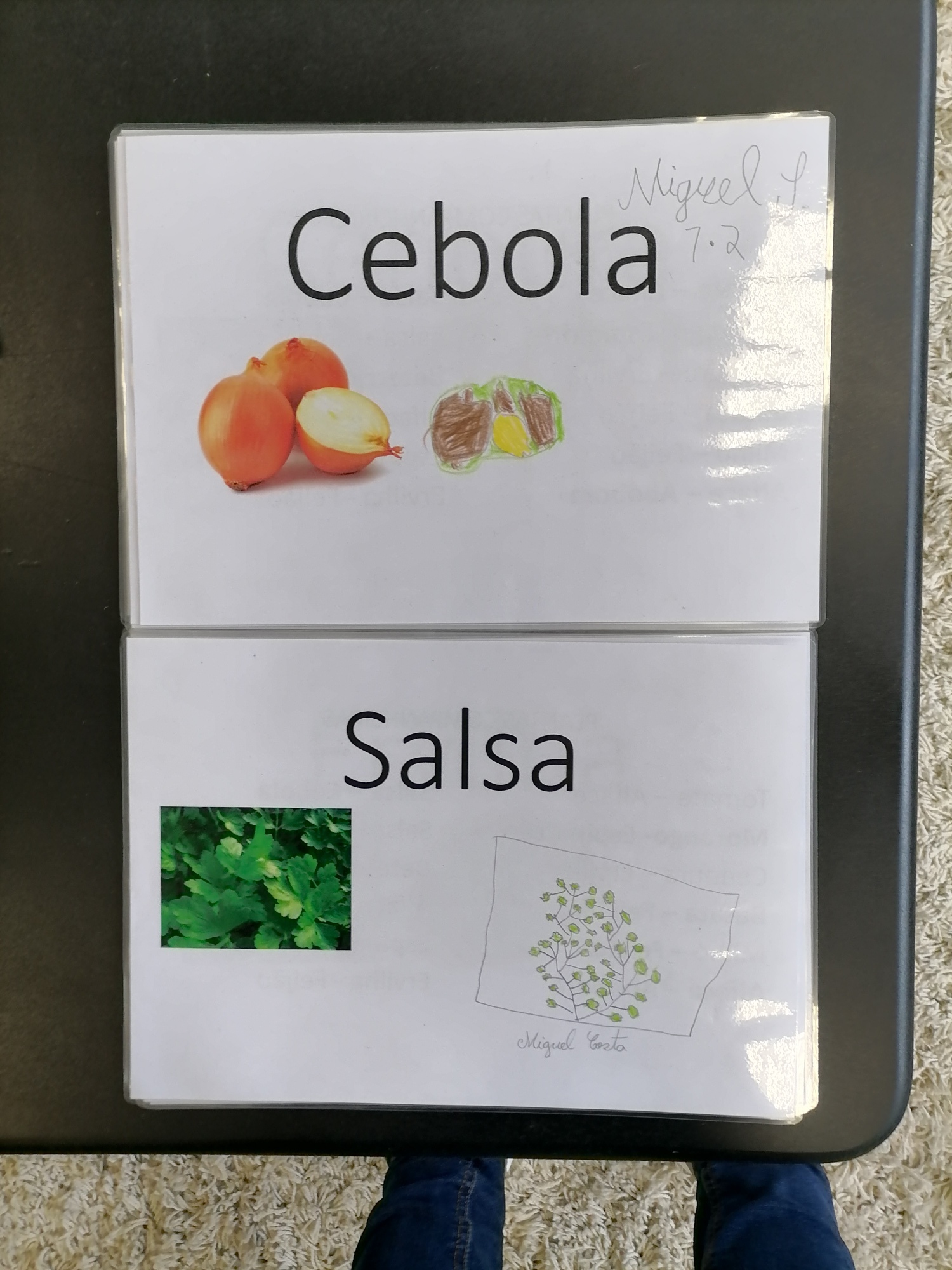 Consorciação de Cebola e Salsa