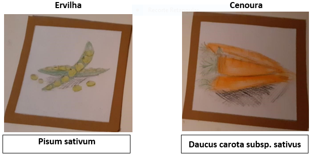 Par 1: Ervilha/Cenoura