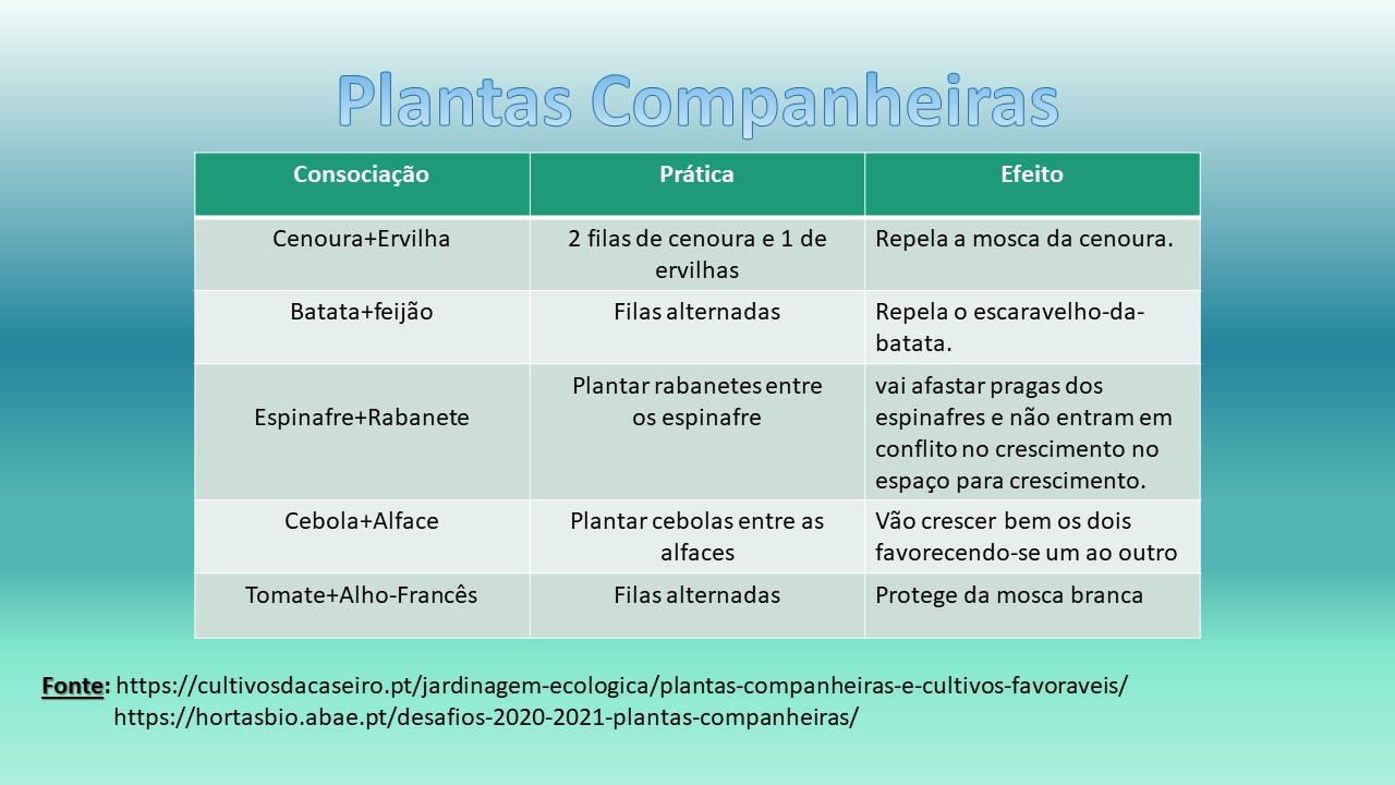 Pares de plantas companheiras - jogo nº 3 da autoria de Pedro Baião