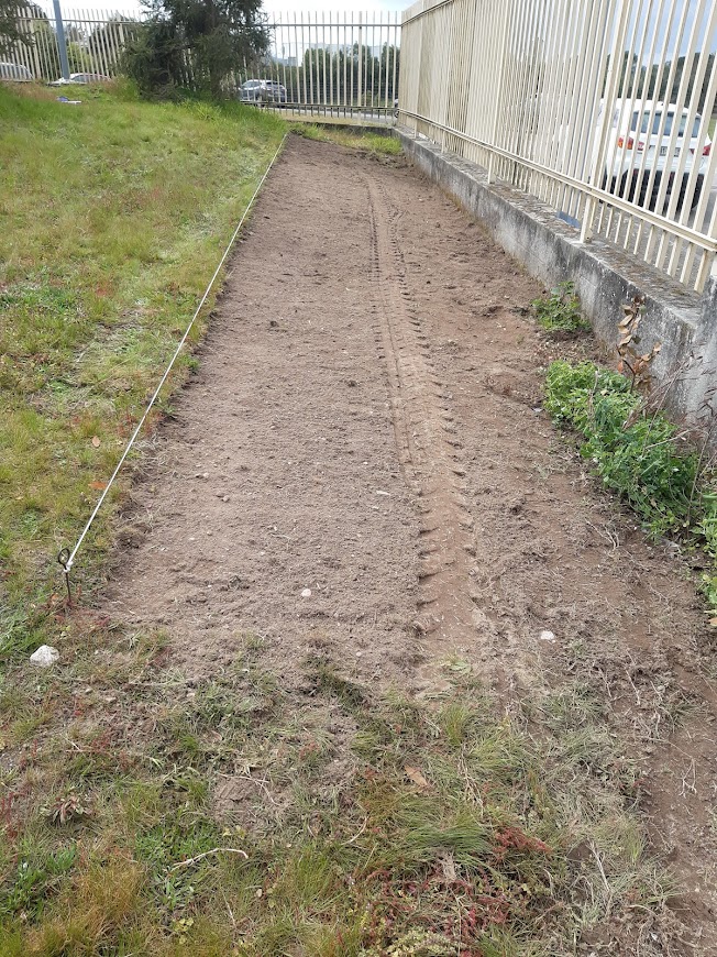 Depois de raspada a camada mais superficial do solo (trabalho realizado por uma equipa da Câmara Municipal)