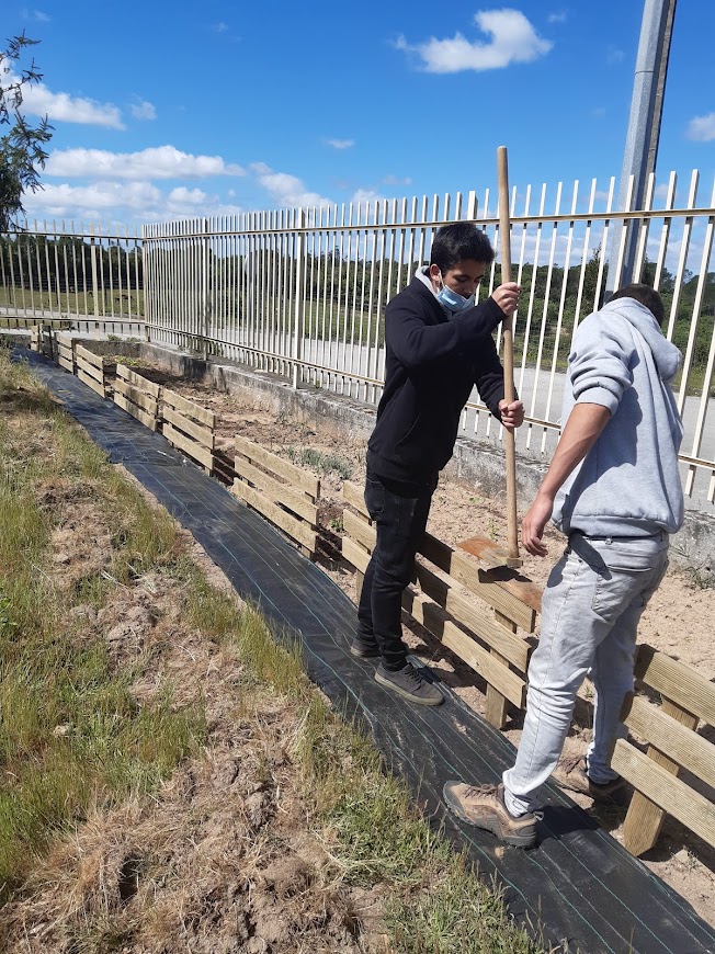 Colocação da cerca na horta. Os módulos da cerca foram desenhados pela coordenadora eco-escolas, construídos por uma equipa da Câmara Municipal e colocadas pelos alunos