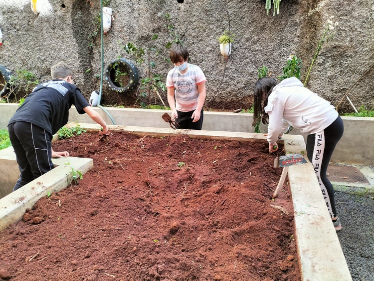 Preparação do solo pelos alunos do clube Eco, para plantio das novas hortícolas.
