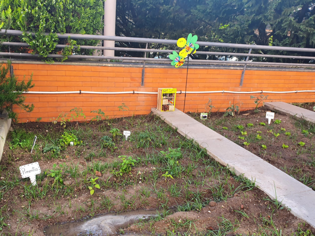 resultado final: plantámos alfaces, morangos, pimentos, beringela e 4 ervas aromáticas diferentes. Também contruímos e colocámos na nossa horta o "Hotel de Insetos" que ajuda a manter a nossa horta.