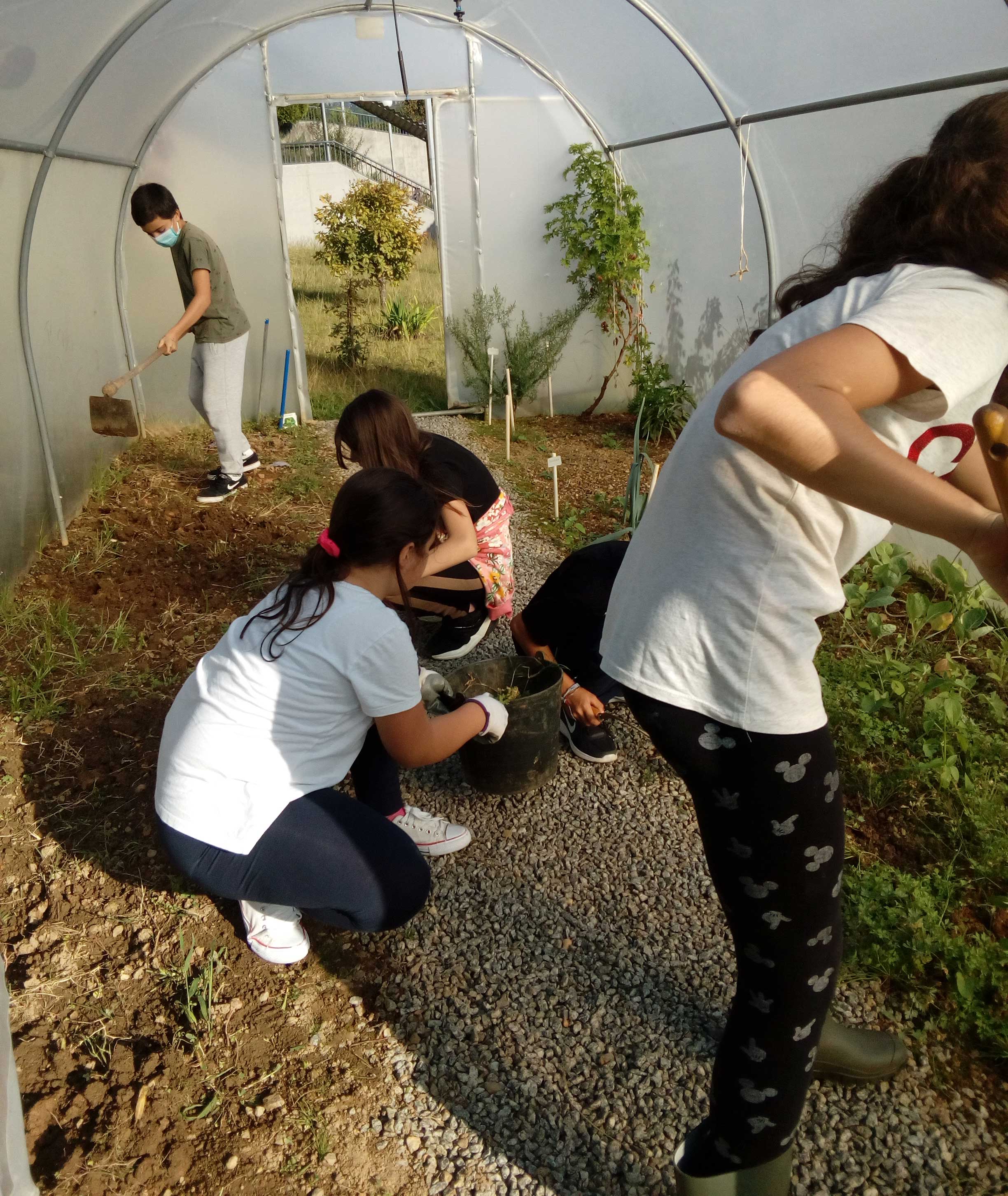 Limpeza do terreno - Estufa. Os alunos fazem a preparação do terreno para a horta na estufa.