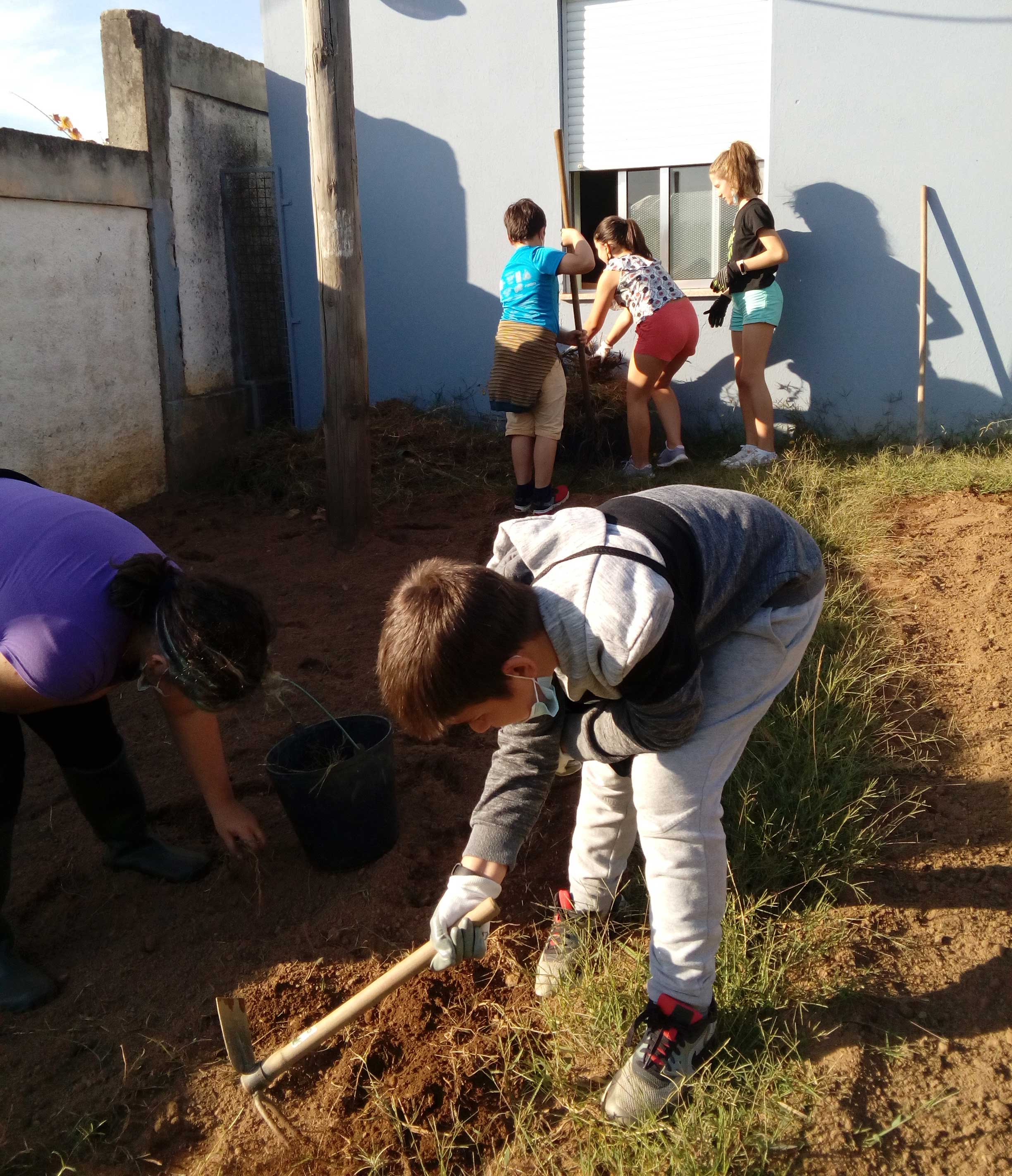 Limpeza do terreno - horta exterior 2. Os alunos fazem a preparação do terreno para a horta exterior.