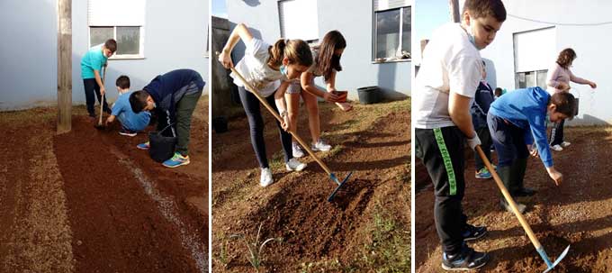 Plantação de legumes - horta exterior. Os alunos procedem à plantação de legumes na horta exterior.