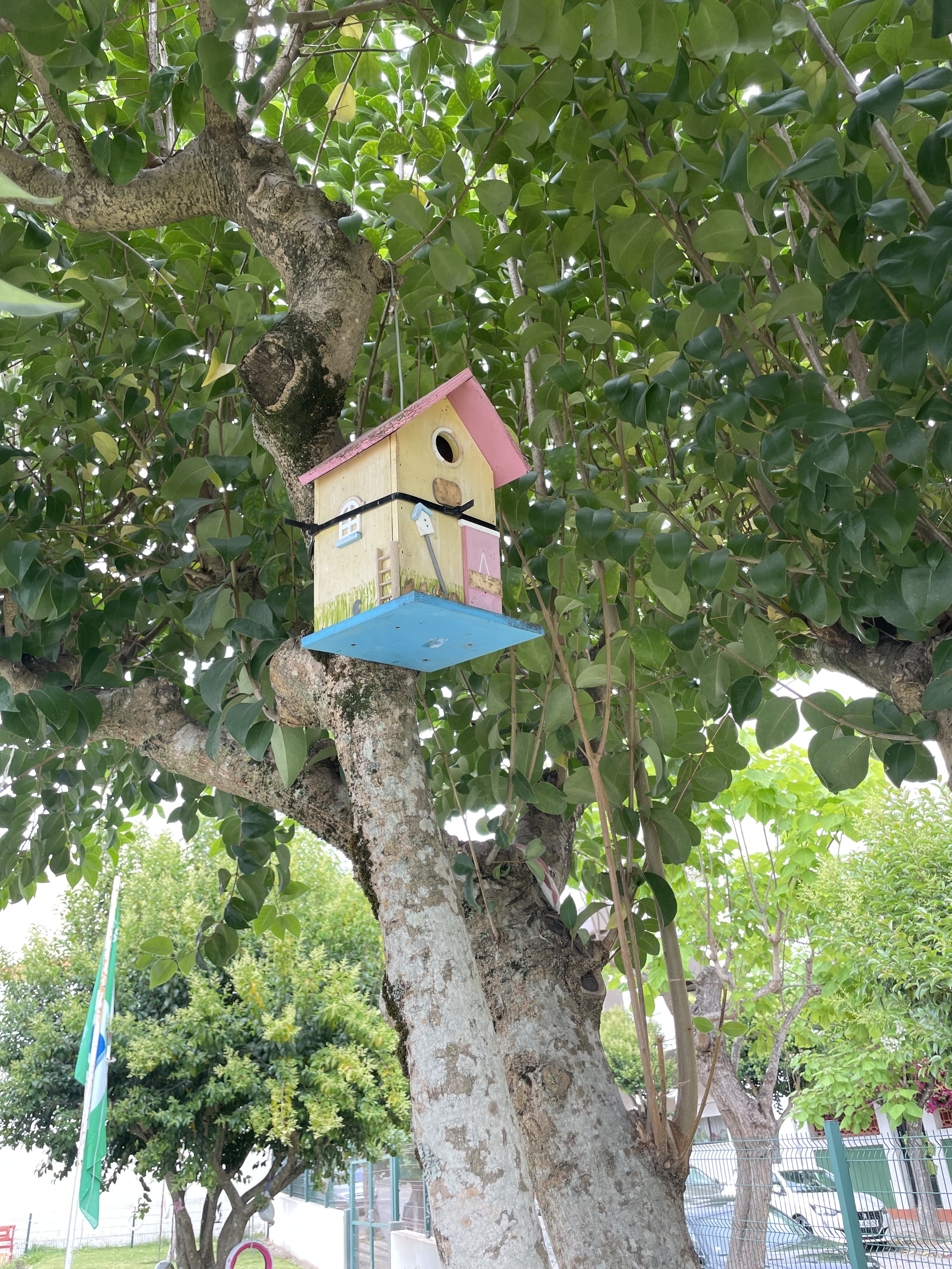 Casa dos pássaros