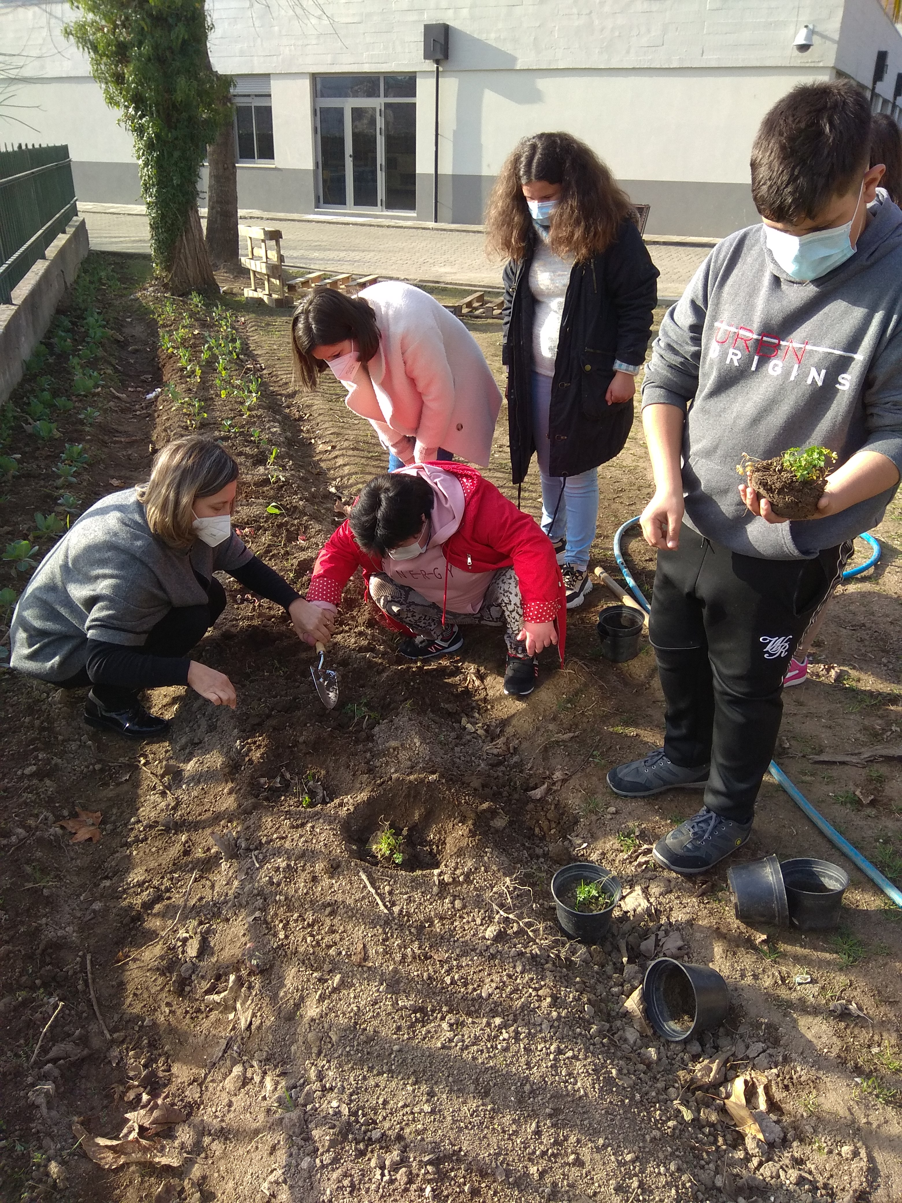 Alunos do ensino especial a fazer uma plantação de salsa na nossa horta com a colaboração das professoras do ensino especial.