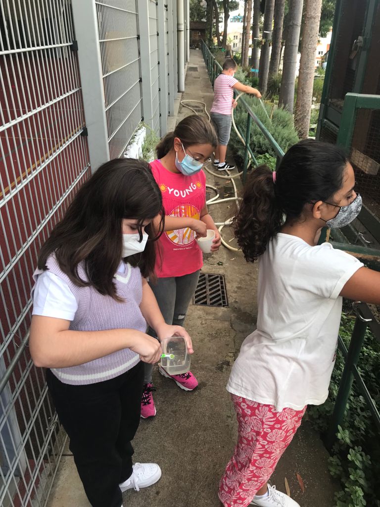 Os alunos cuidam dos animais da horta.