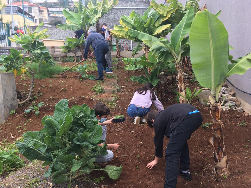 Fase inicial - alunos participam, ativamente, na monda da horta biológica sob a orientação do precioso funcionário, Sr. Vicente Andrade.