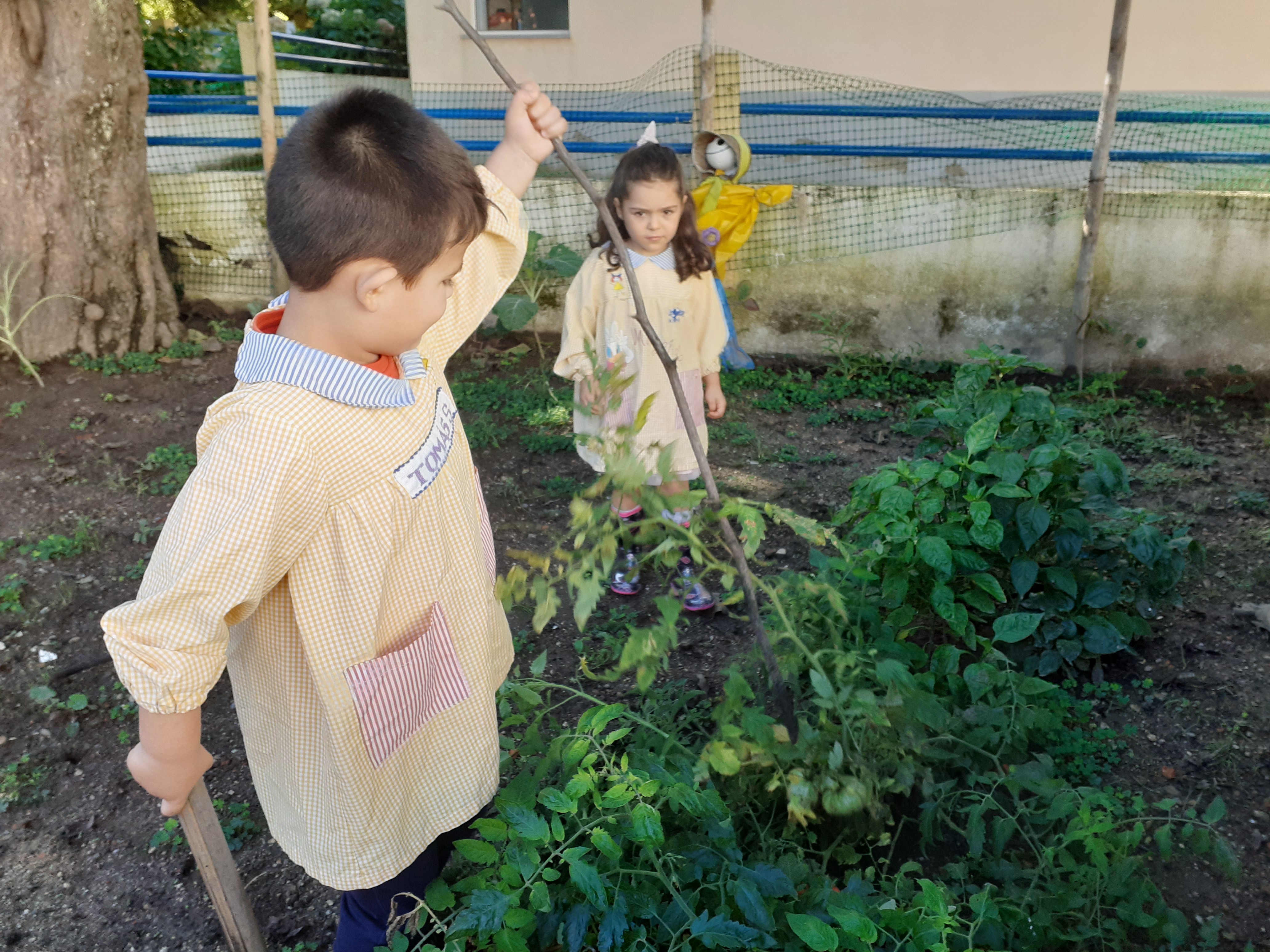 1- Limpeza do terreno com a colaboração das crianças.