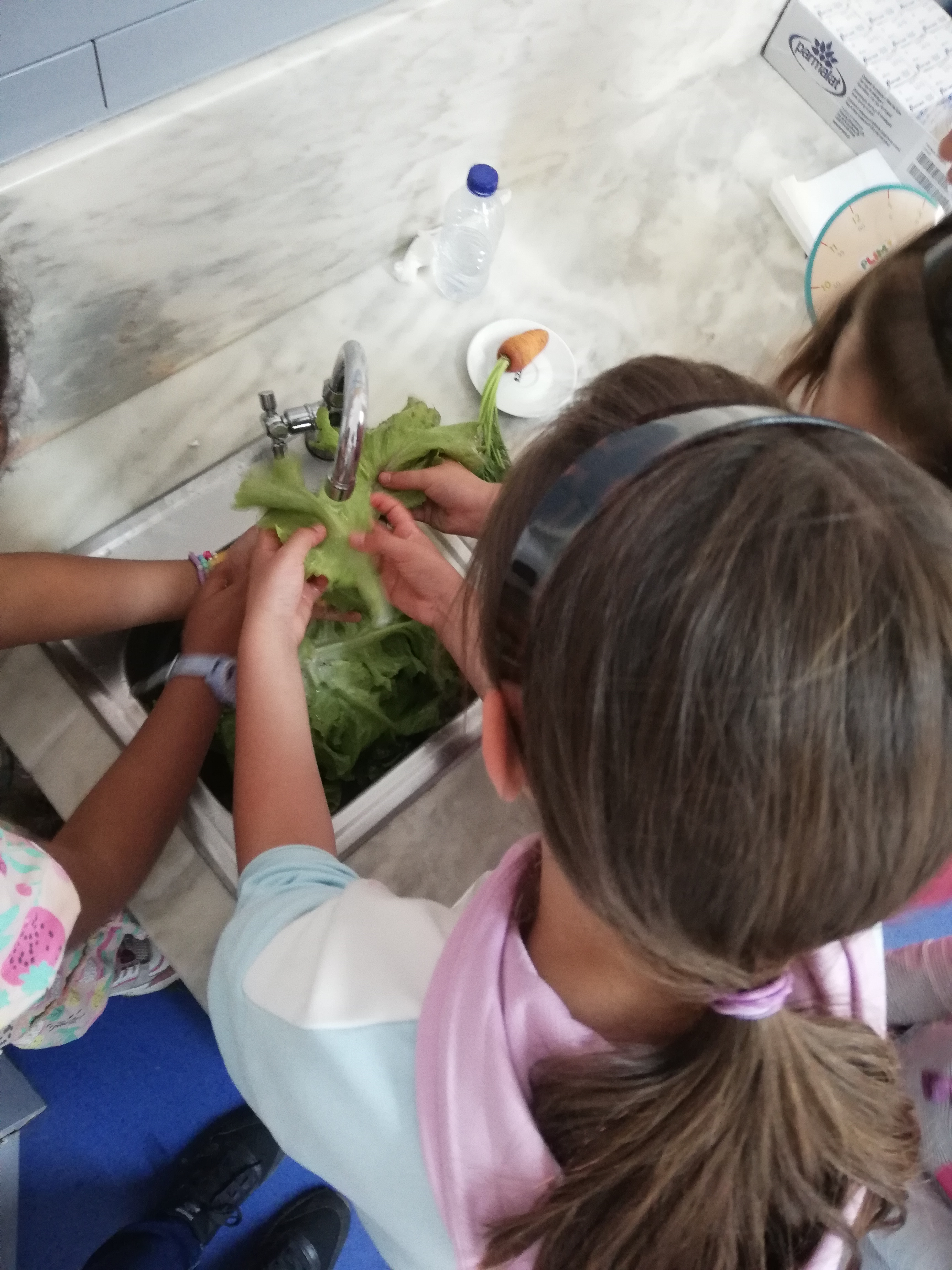 Preparação de uma salada pelos alunos com os produtos que plantaram e agora colheram.