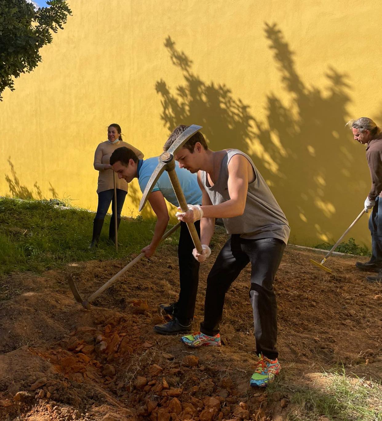 Preparação do terreno: cavar e soltar a terra para depois receber o composto orgânico