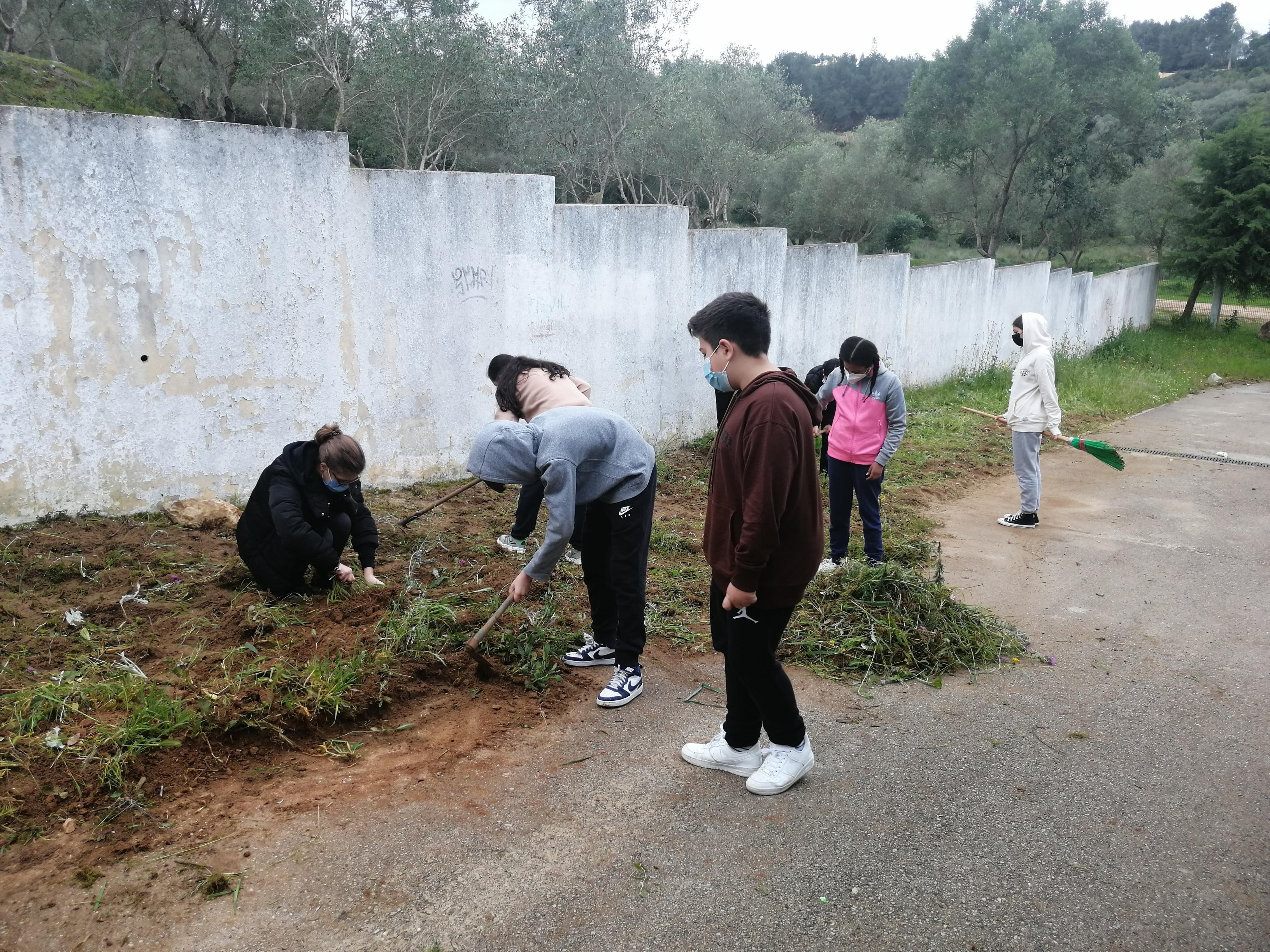 1ª fase da horta-retirada de ervas daninhas e preparação do terreno - alunos