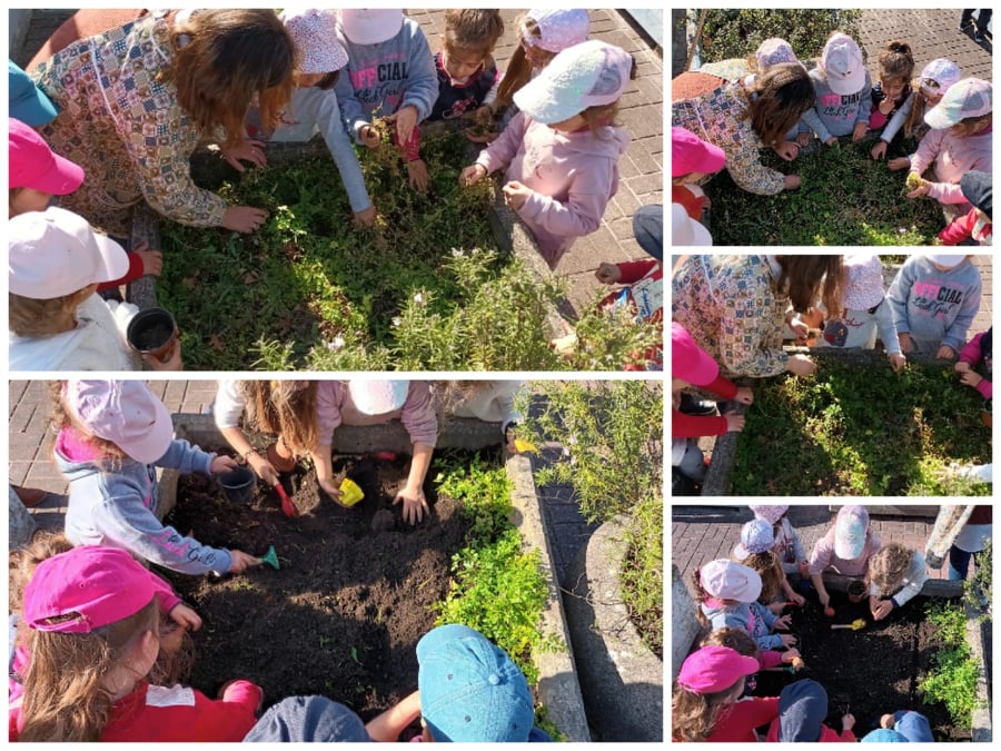 As crianças do jardim de Infância limparam as vaseiras para voltarmos a plantar os canteiros das ervas aromáticas. As nossas salseiras continuam muito bonitas.