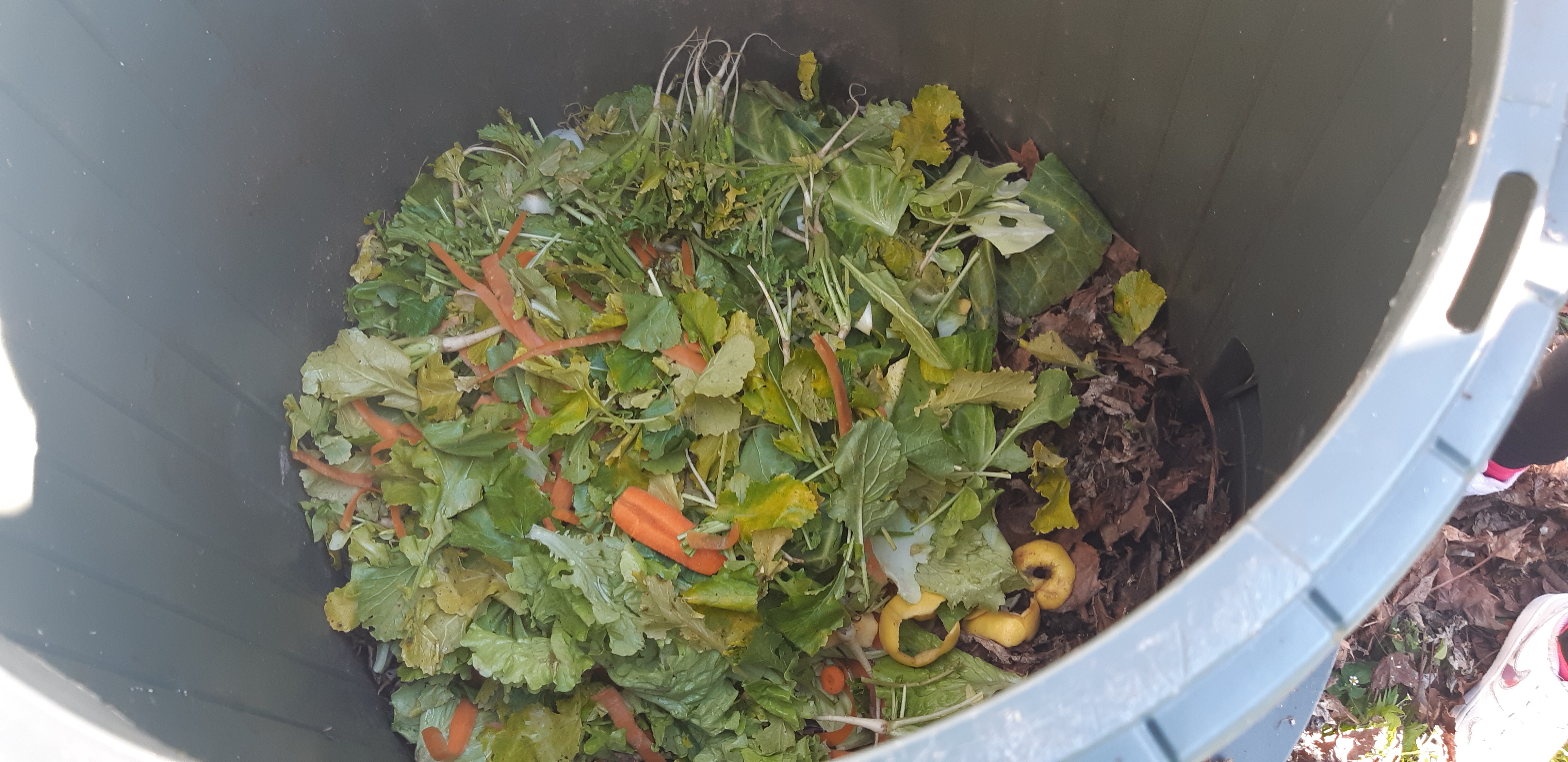 Continuação da compostagem,  os resíduos orgânicos da nossa cozinha da cantina dentro do compostor
