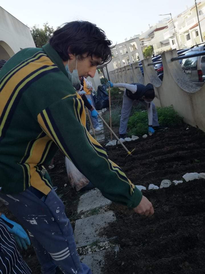 Os alunos fazem a sementeira de favas, ervilhas,  rabanetes, coentros, cenouras e a plantar beterrabas e couves a 26 de novembro de 2021.