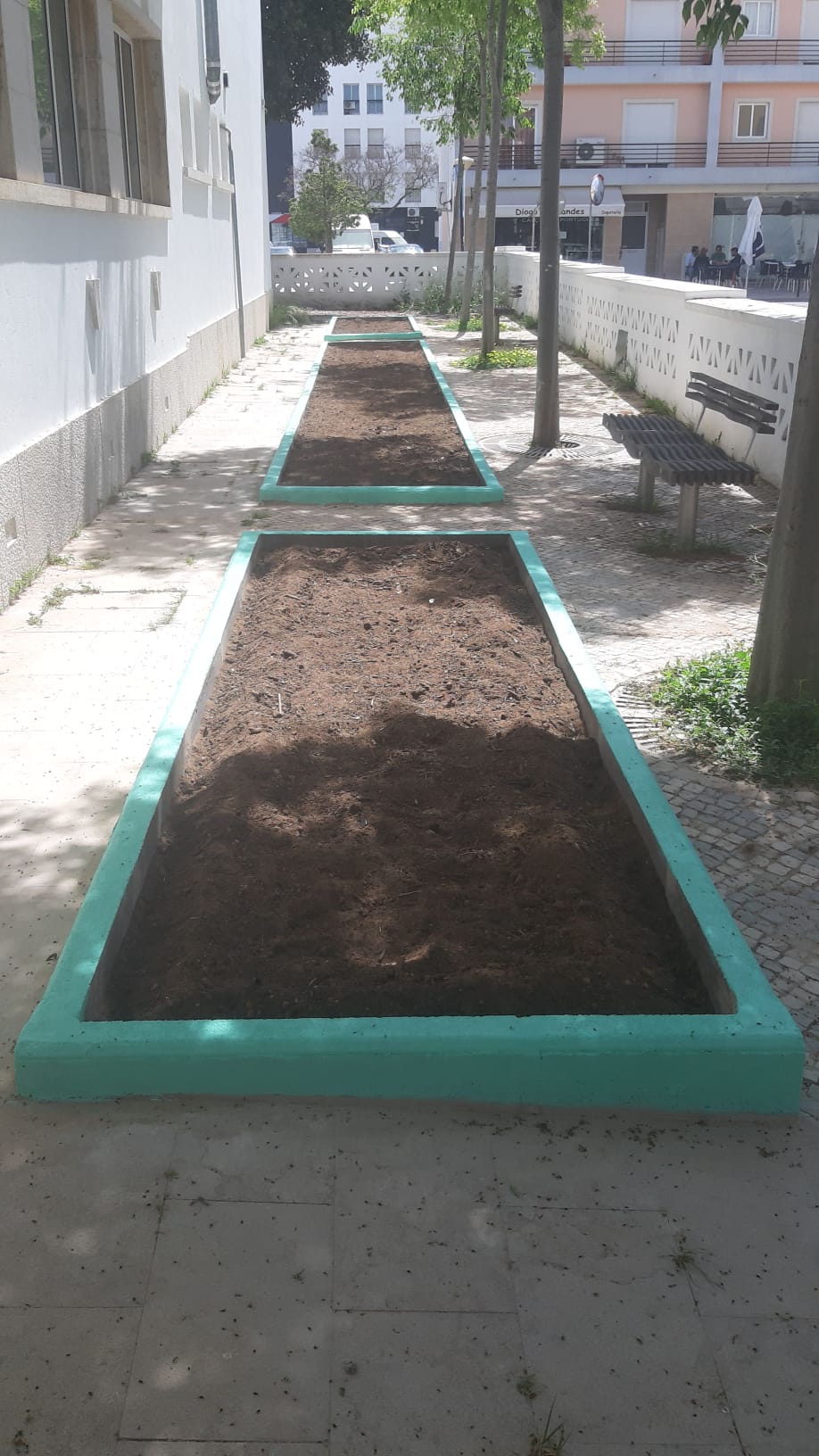 Preparação da terra: remoção das ervas e restos da plantação do ano anterior.