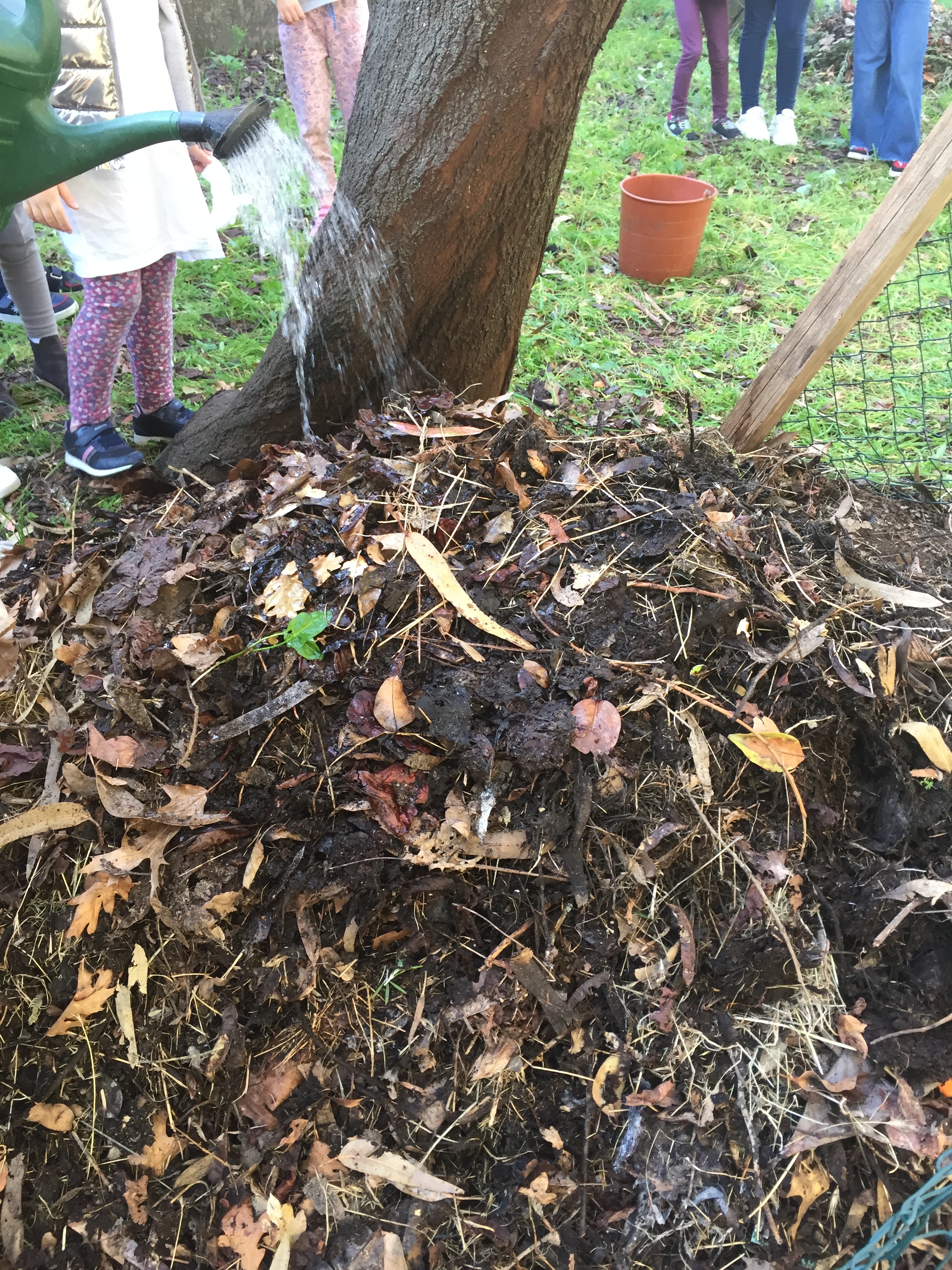 Regar a pilha de compostagem (janeiro)
Regou-se a pilha de compostagem, pois estava um pouco seca e deixou-se a maturar para a fertilização do solo da horta na primavera.
