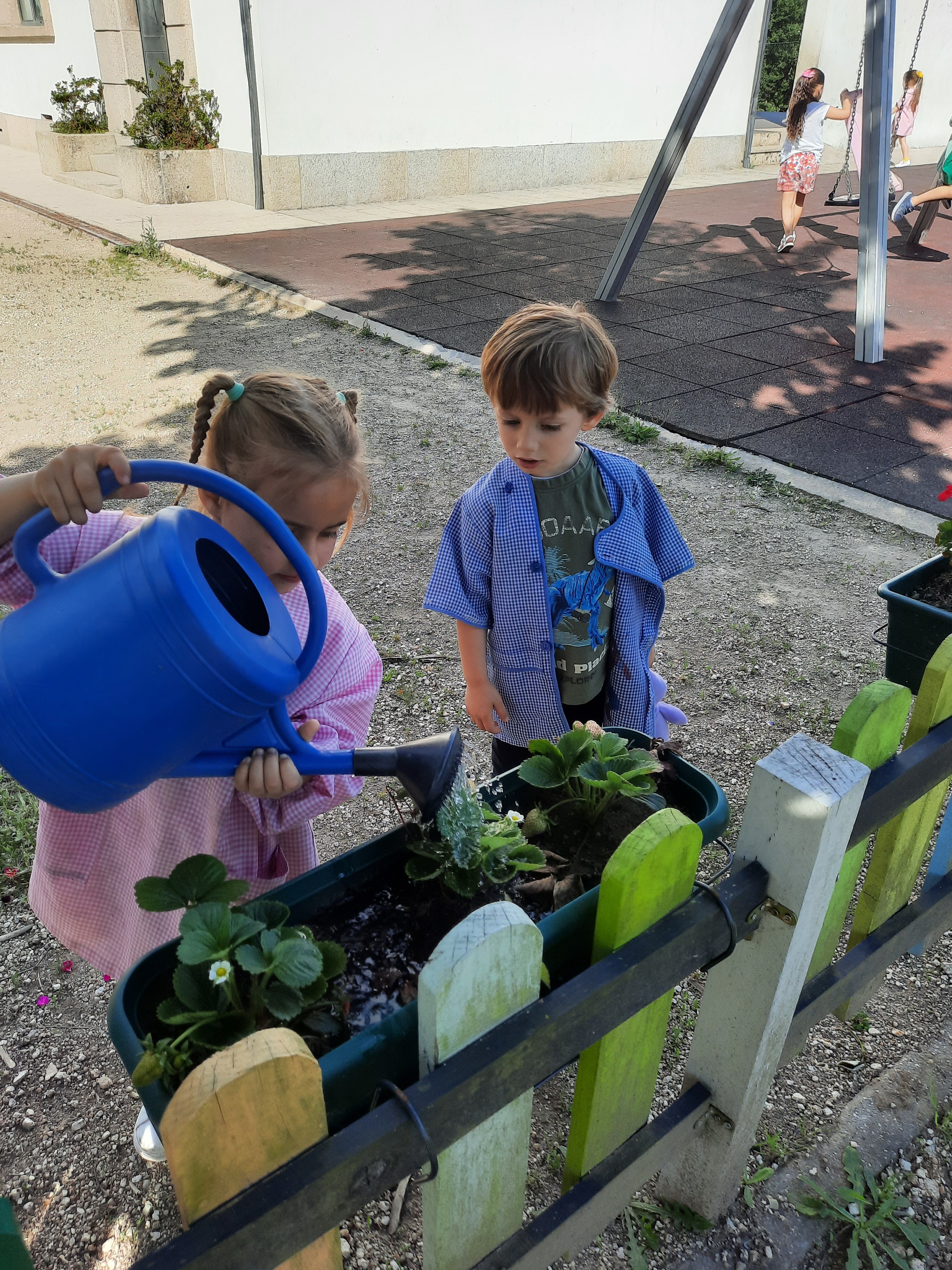 Manutenção da horta. Observamos as crianças a regar os morangos.