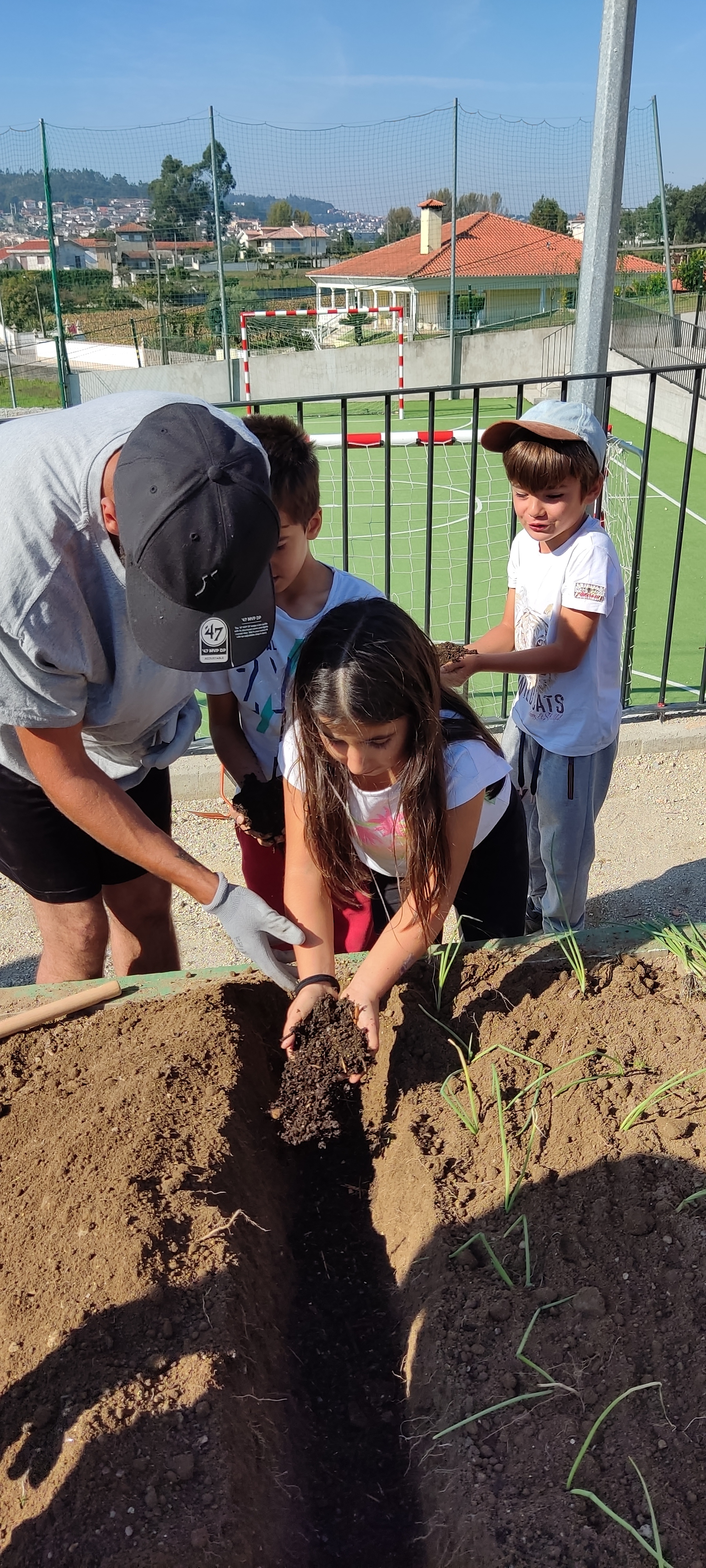 Início do cultivo da horta da escola - plantação 3