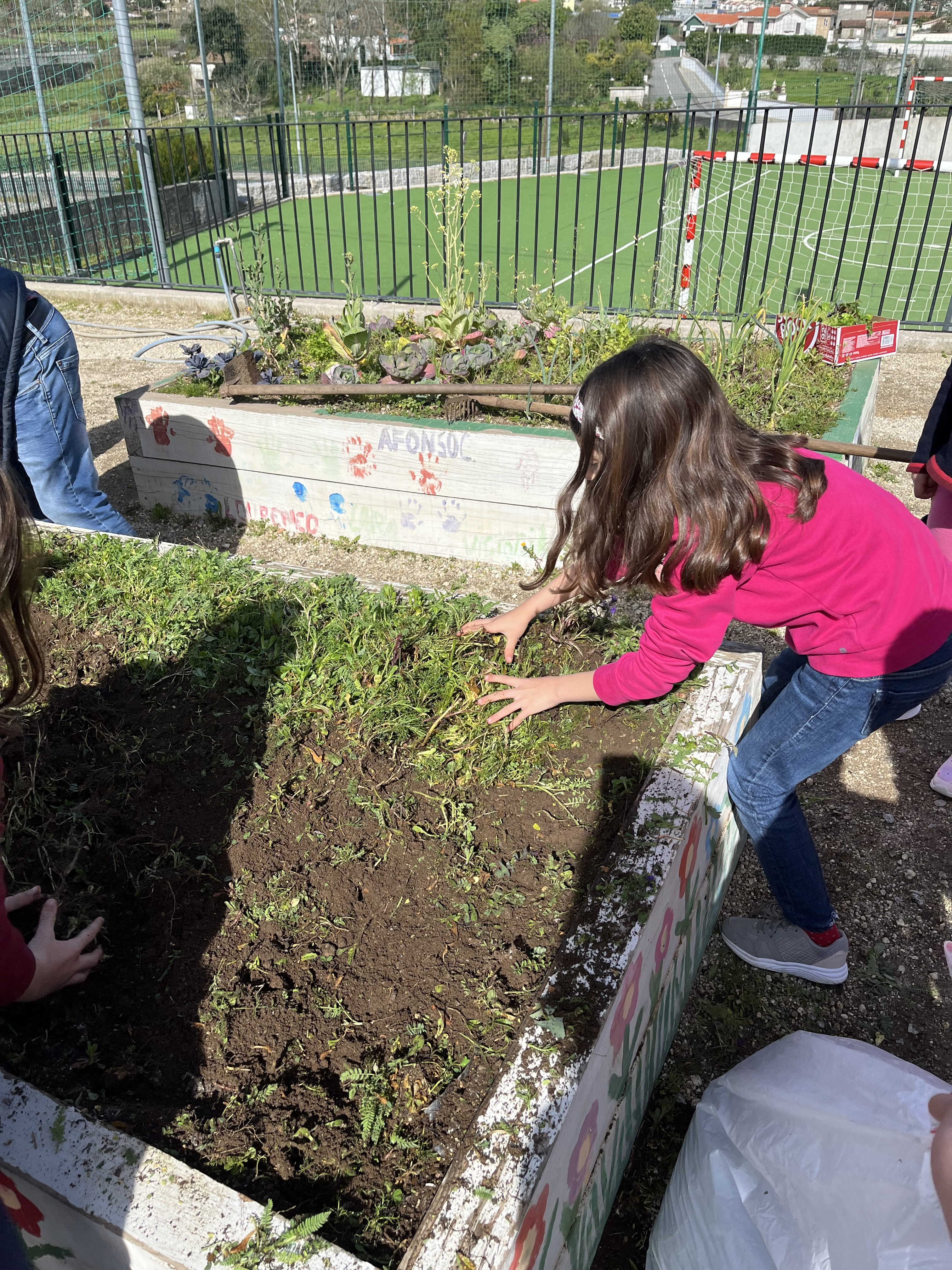 Retirar as ervas daninhas do ano transato.
Neste mês, os alunos do 3º e 4º anos iniciaram a preparação das suas hortas.