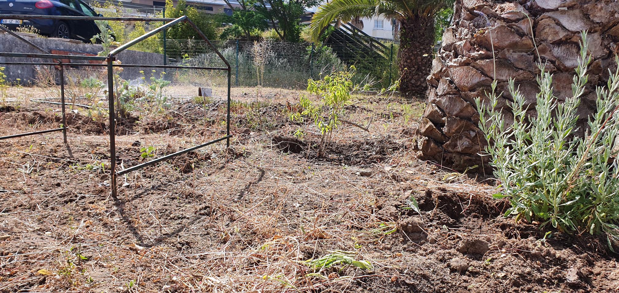 Preparação de terreno para cultivo de alfaces.