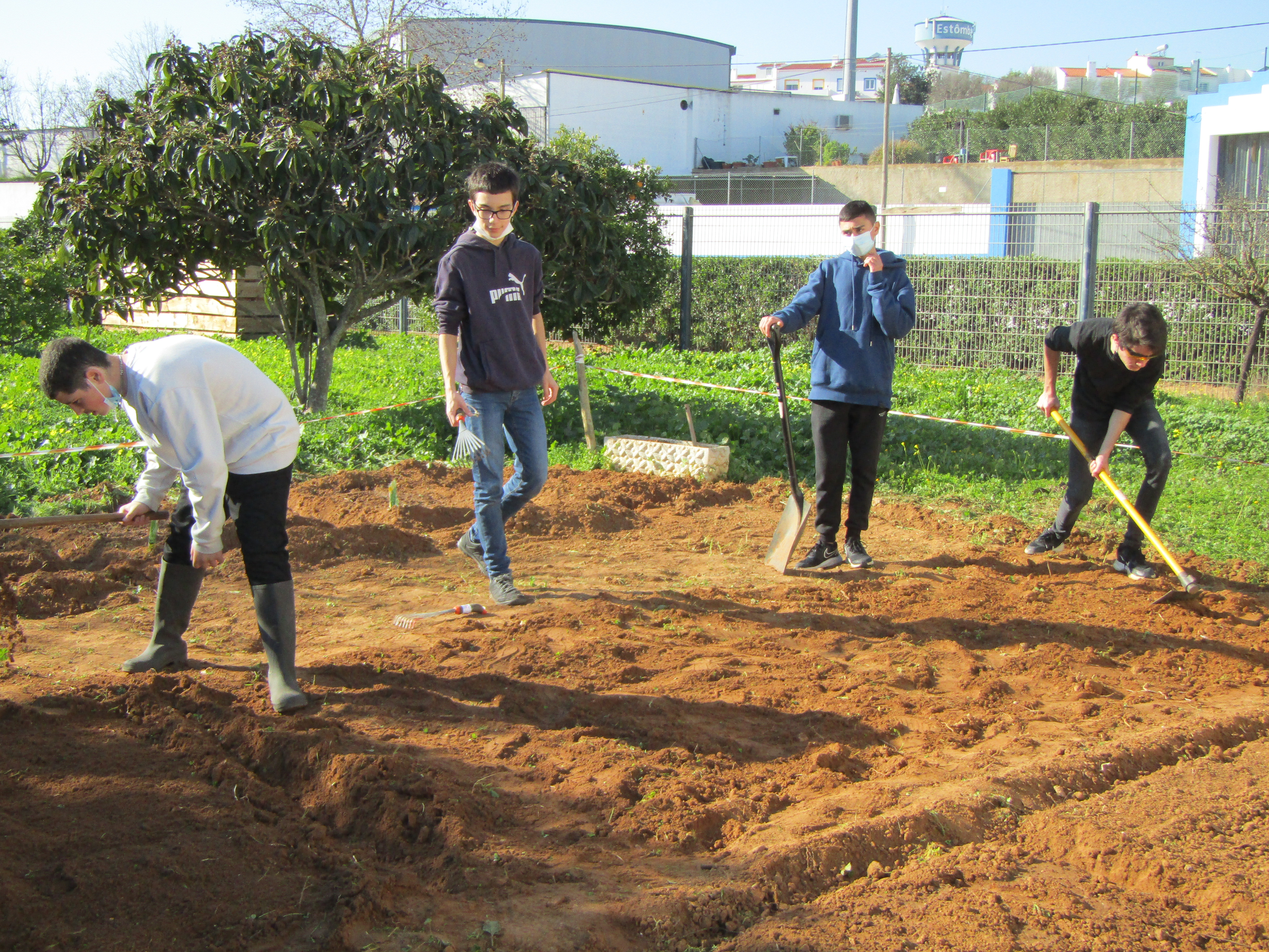 Continuação da preparação do terreno, por parte dos alunos, com a remoção de plantas infestantes e outros detritos.