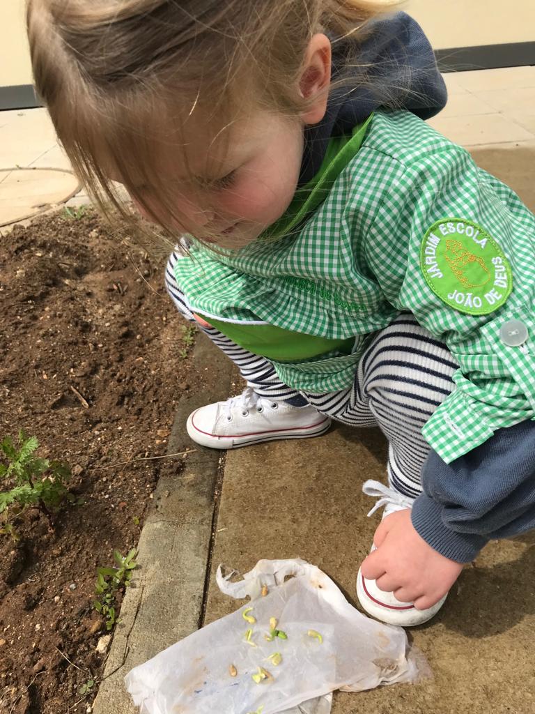 Criança a  a plantar feijão