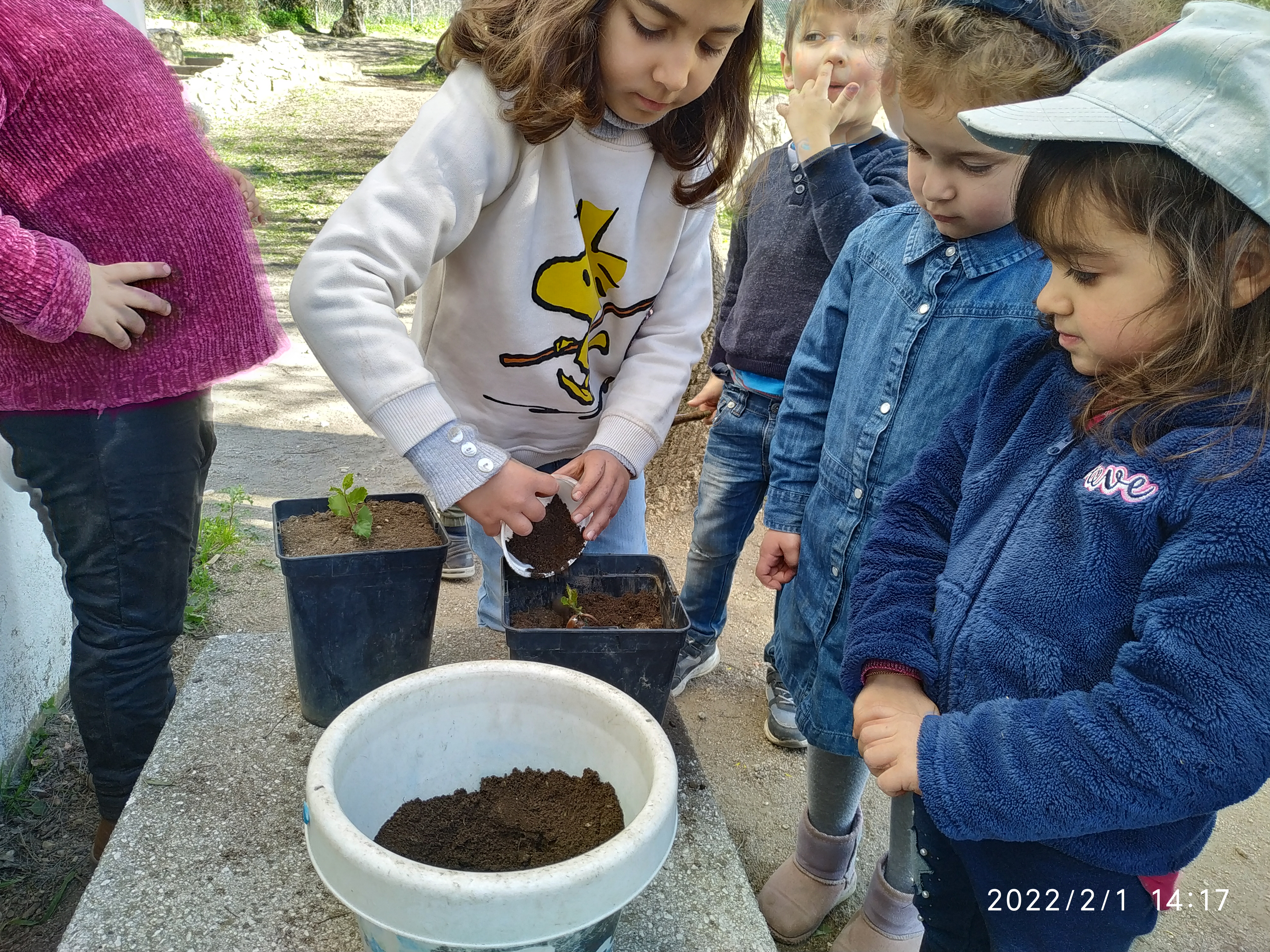 Em fevereiro deu-se início à plantação. 
As crianças puderam plantar algumas plantas, limpar vasos, regar.