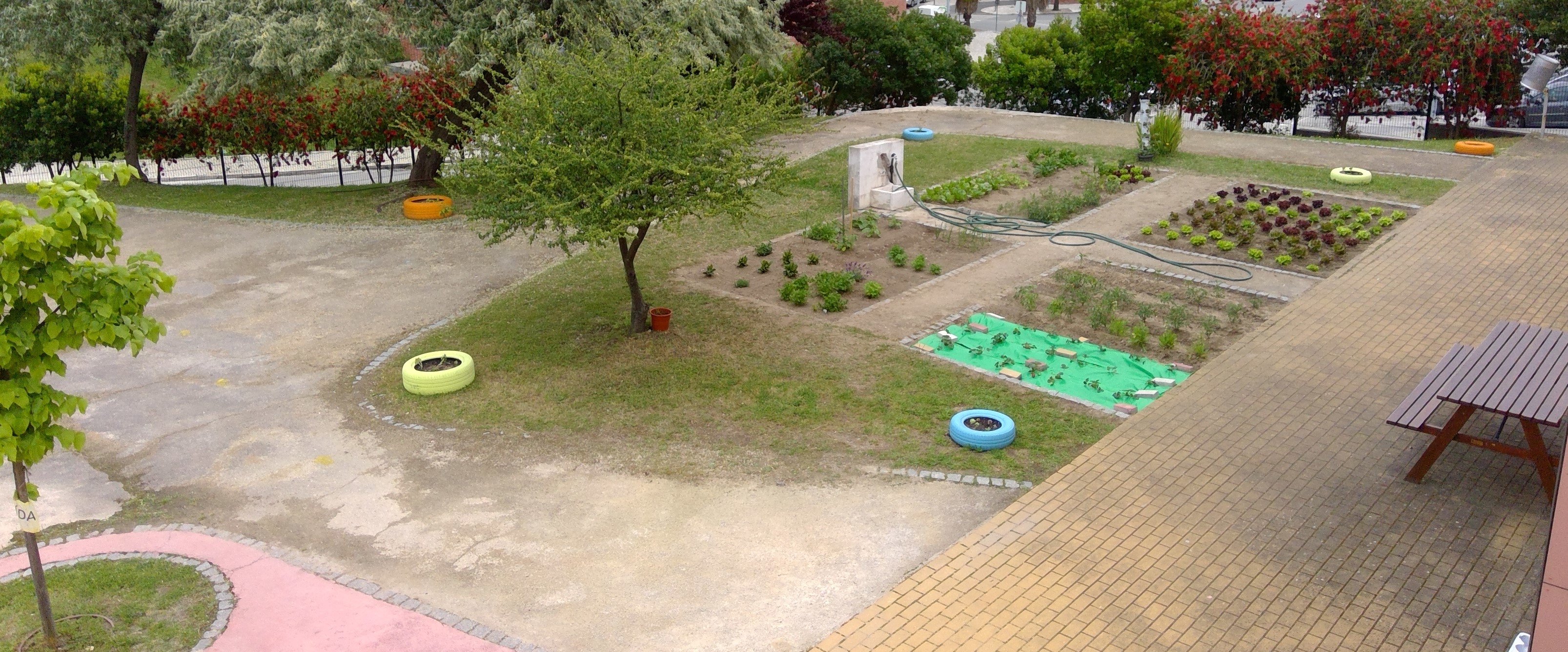 Área da horta, na nossa escola. Dinamização da horta, no ano letivo anterior.
