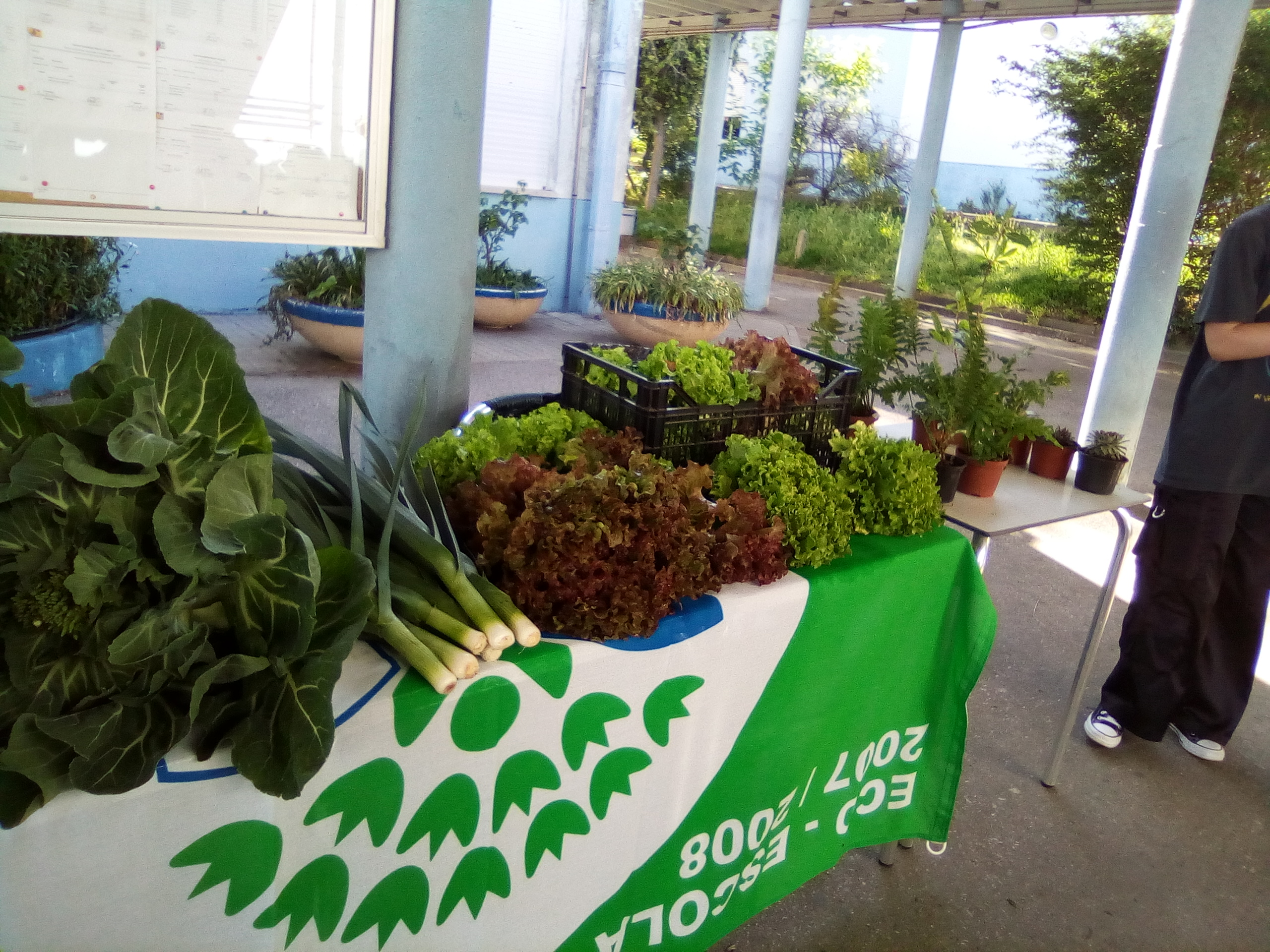 No dia 5 de maio ocorreu uma pequena feira biológica no átrio da escola para venda dos produtos produzidos na bio-horta.