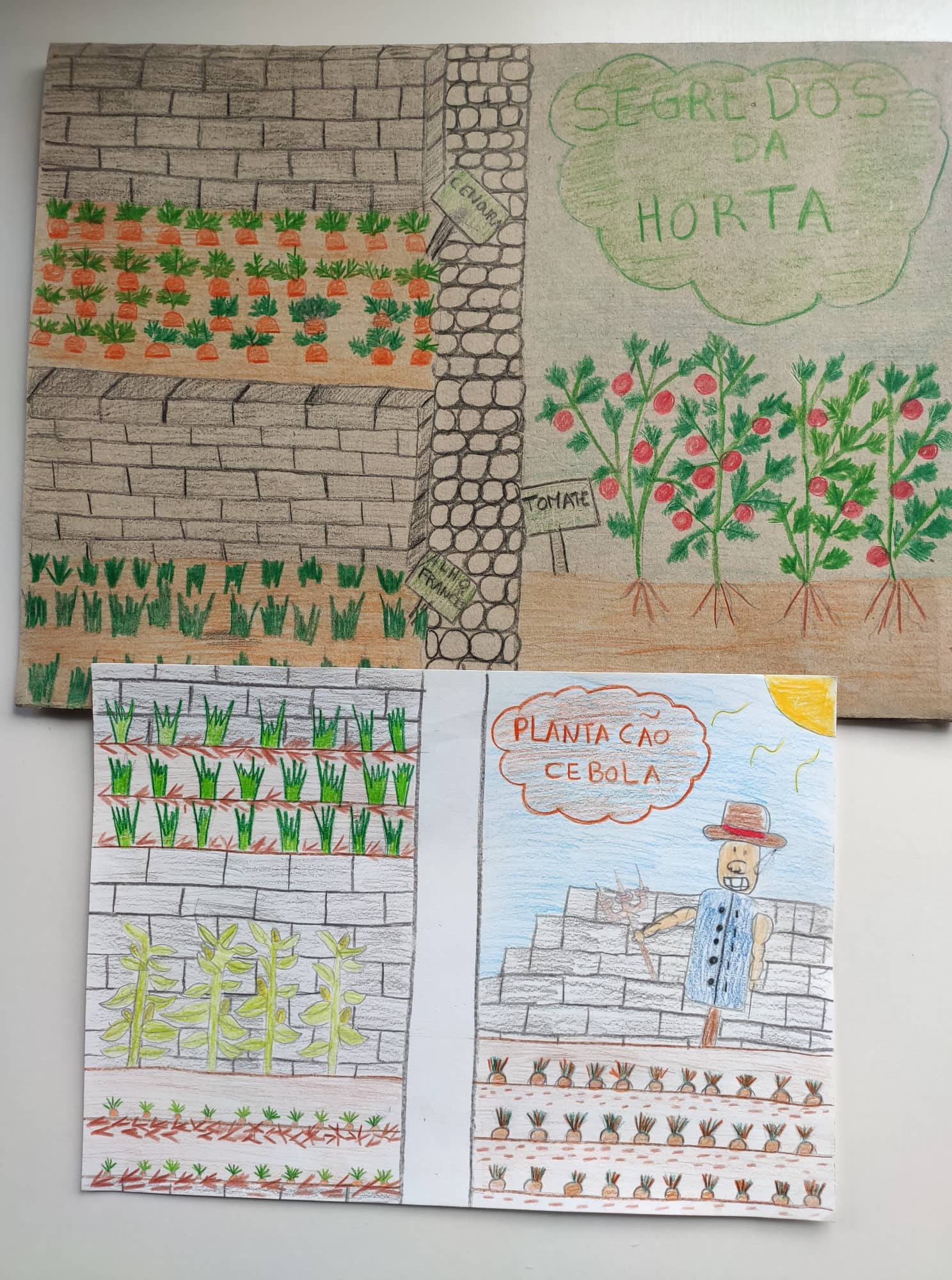 Segredos da Horta - Plantação de cebola - Dicas e truques - ilustração