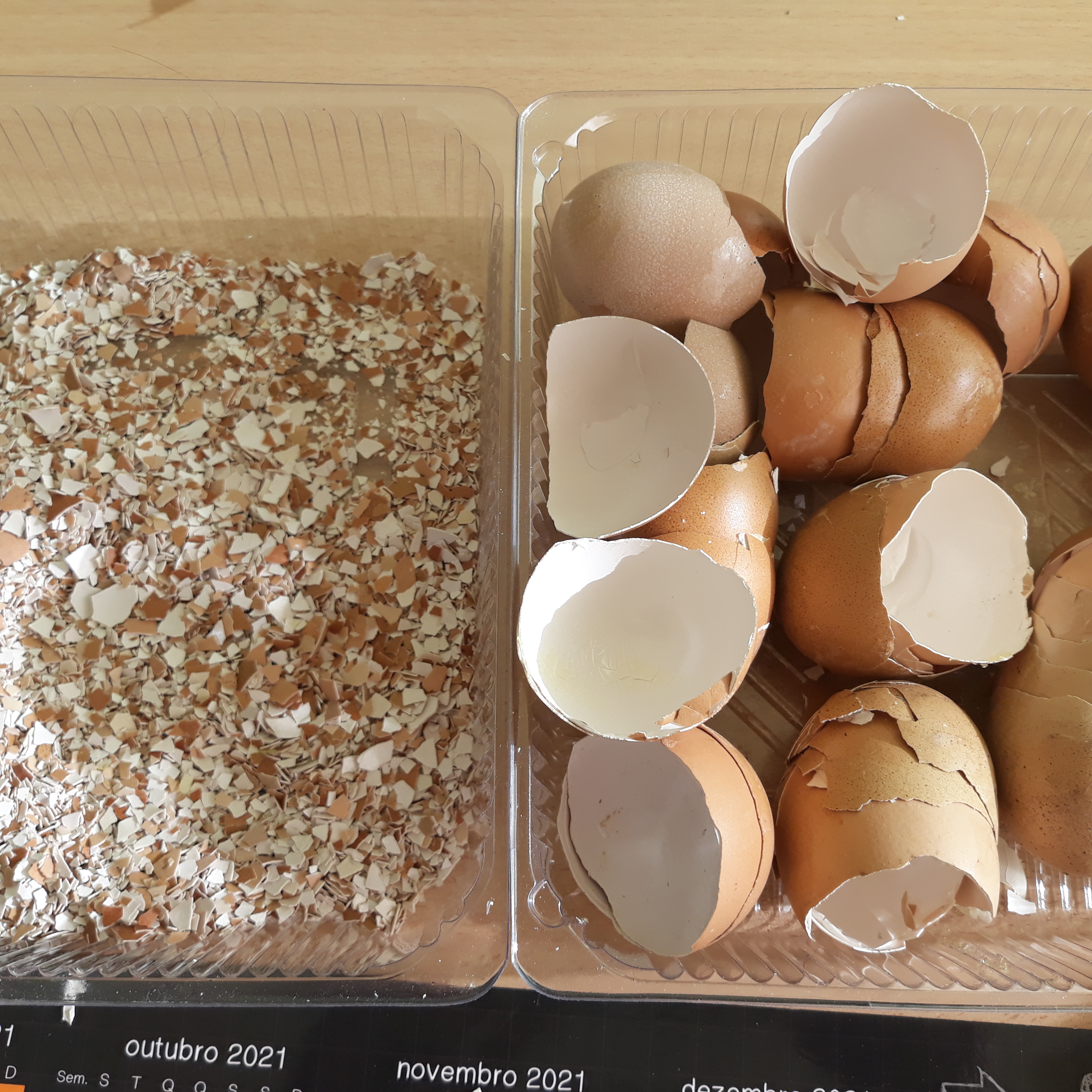 O processo da transformação das cascas de ovos 2