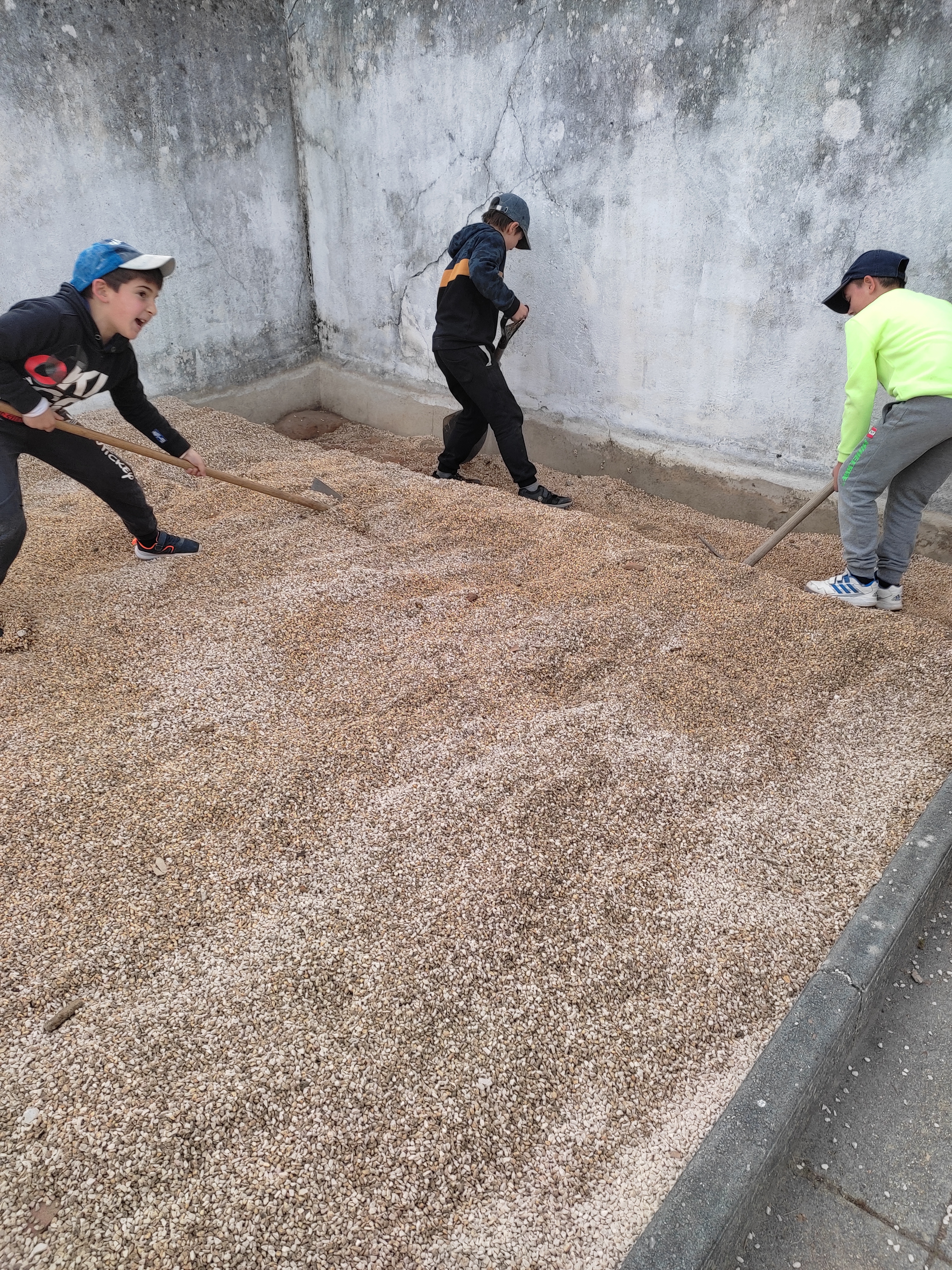 Tivemos que retirar areão para posteriormente colocarmos umas tábuas e preenchermos com terra.
Foi trabalhoso mas muito divertido!