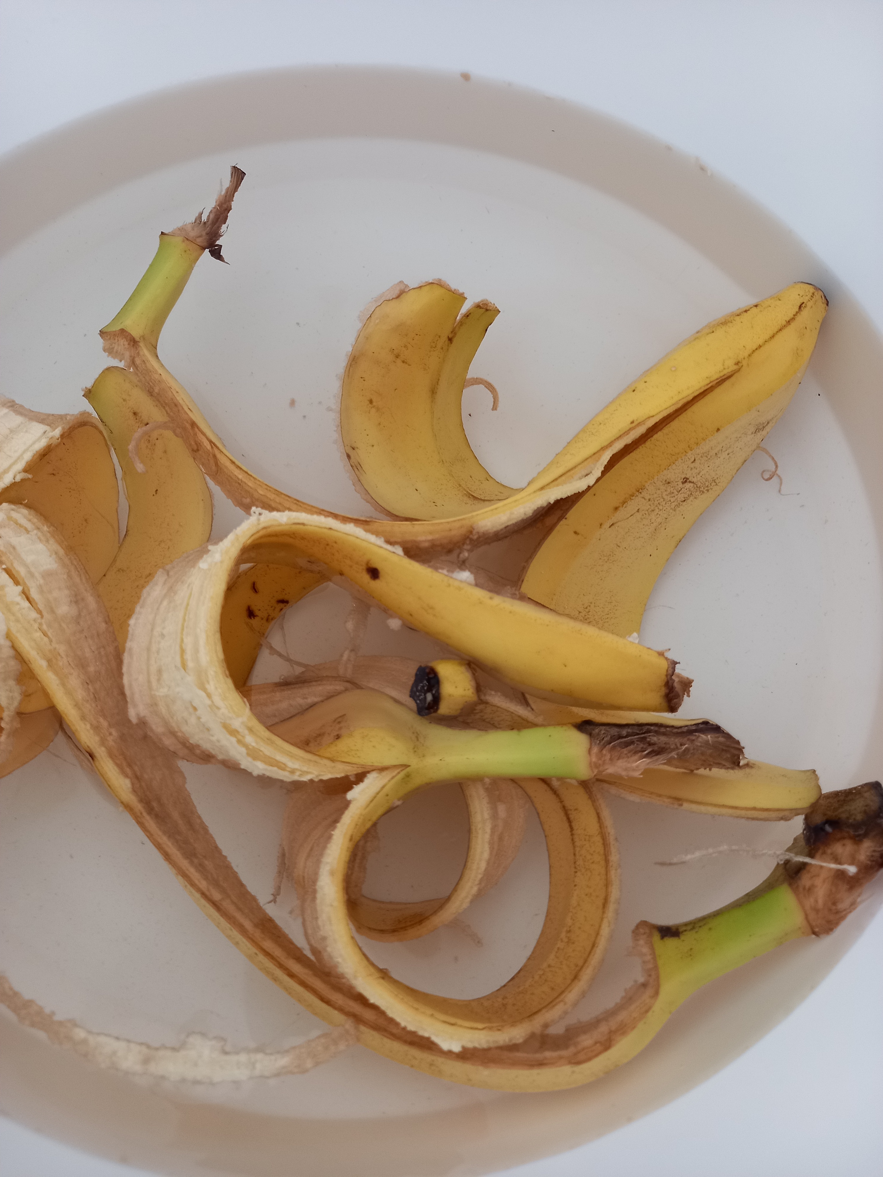 Cascas de banana para utilizar como fertilizante da horta.