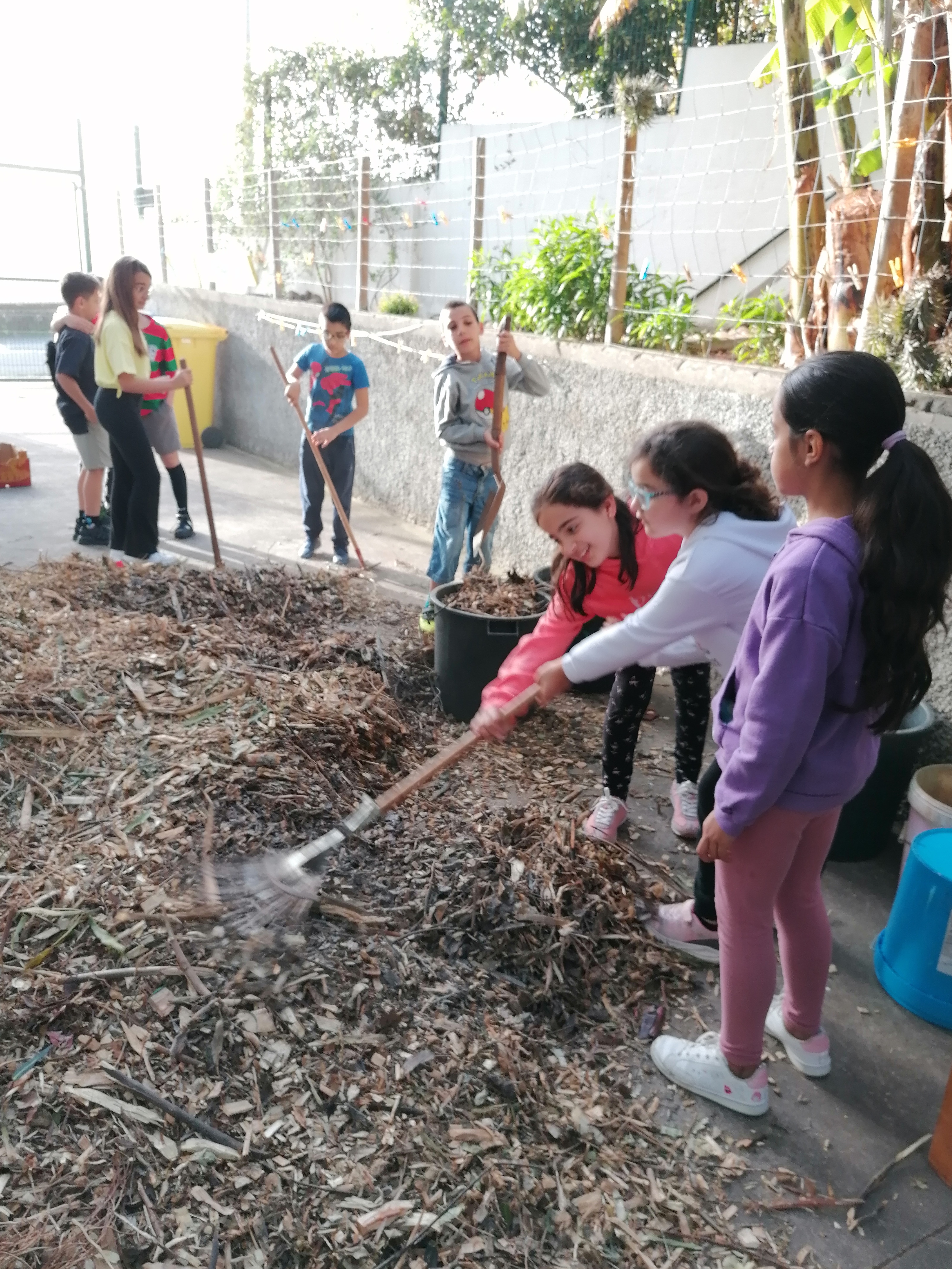Alunos do 4ºano nas tarefas da horta bio da escola - transportar estilha para o compostor, para fertilizara terra e para colocar nas zonas de passagem da horta.