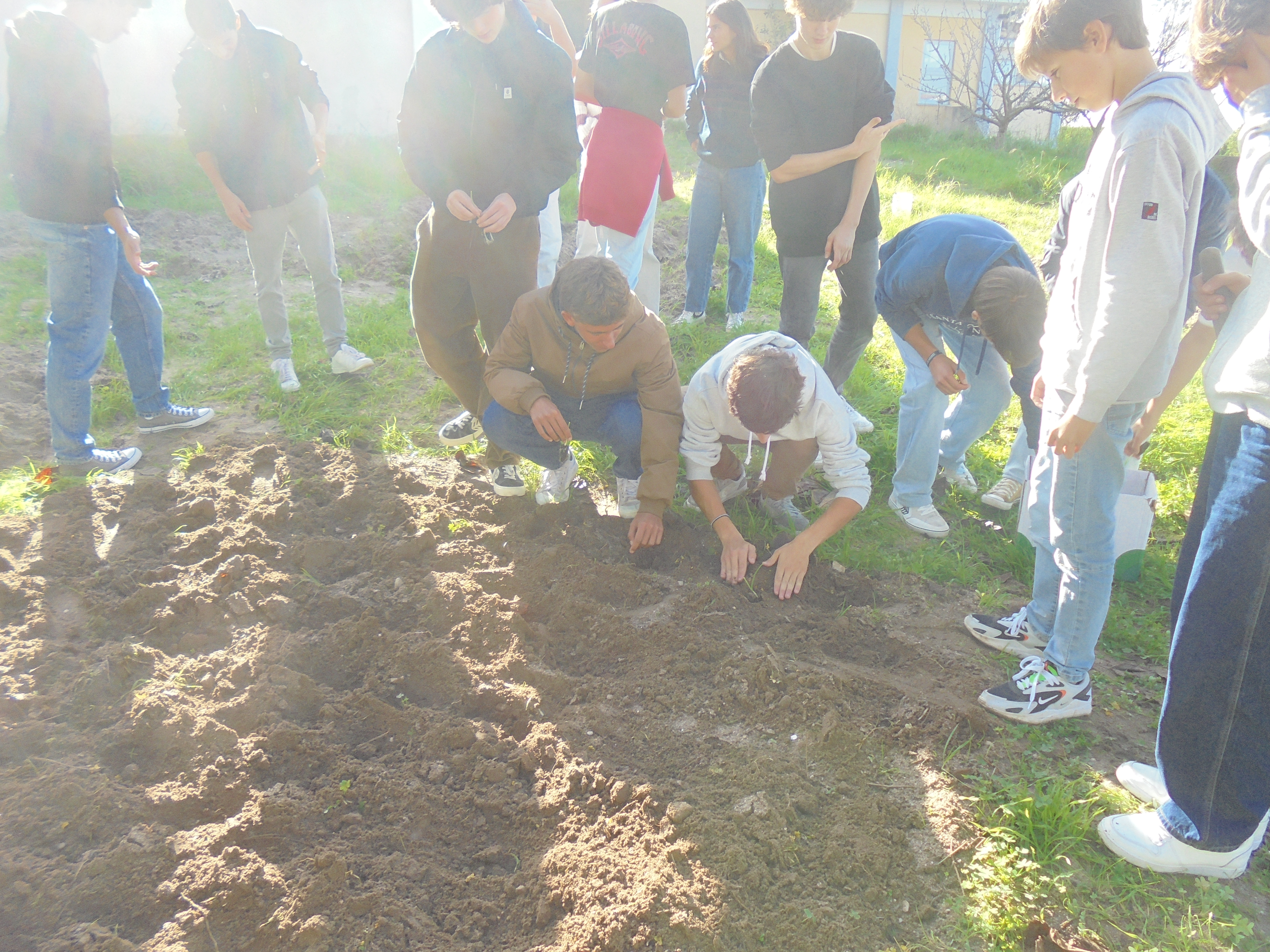 Participação da uma tuma do secundário de LH nos trabalhos de plantação de cebola em conjuntos com os alunos responsáveis pelo projeto 21 de novembro de 2022