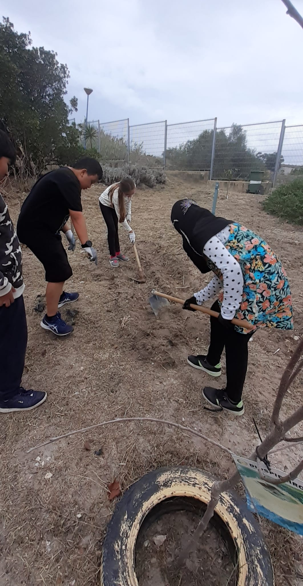 Com as ferramentas (enxadas) os alunos retiram as ervas daninhas presentes no solo.