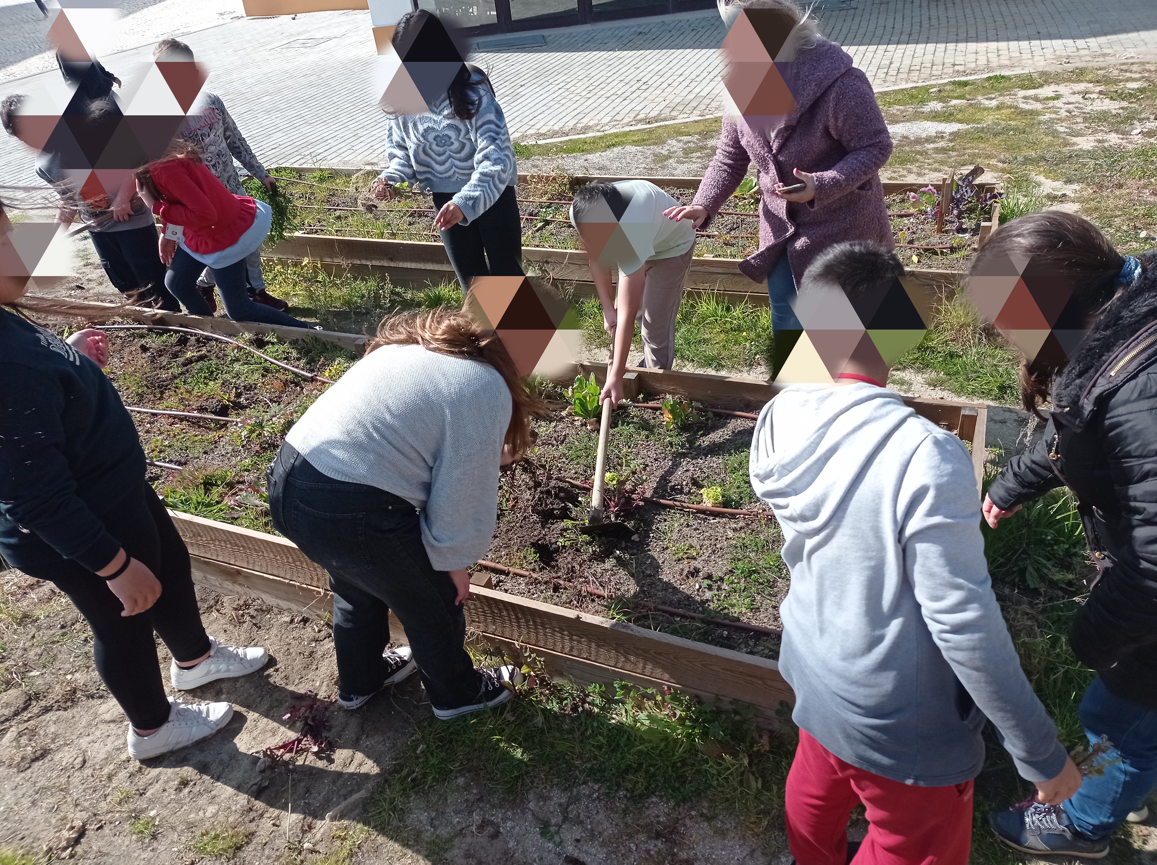 Preparação da horta
Os alunos removeram as ervas daninhas e prepararam o terreno para plantarem produtos da época.