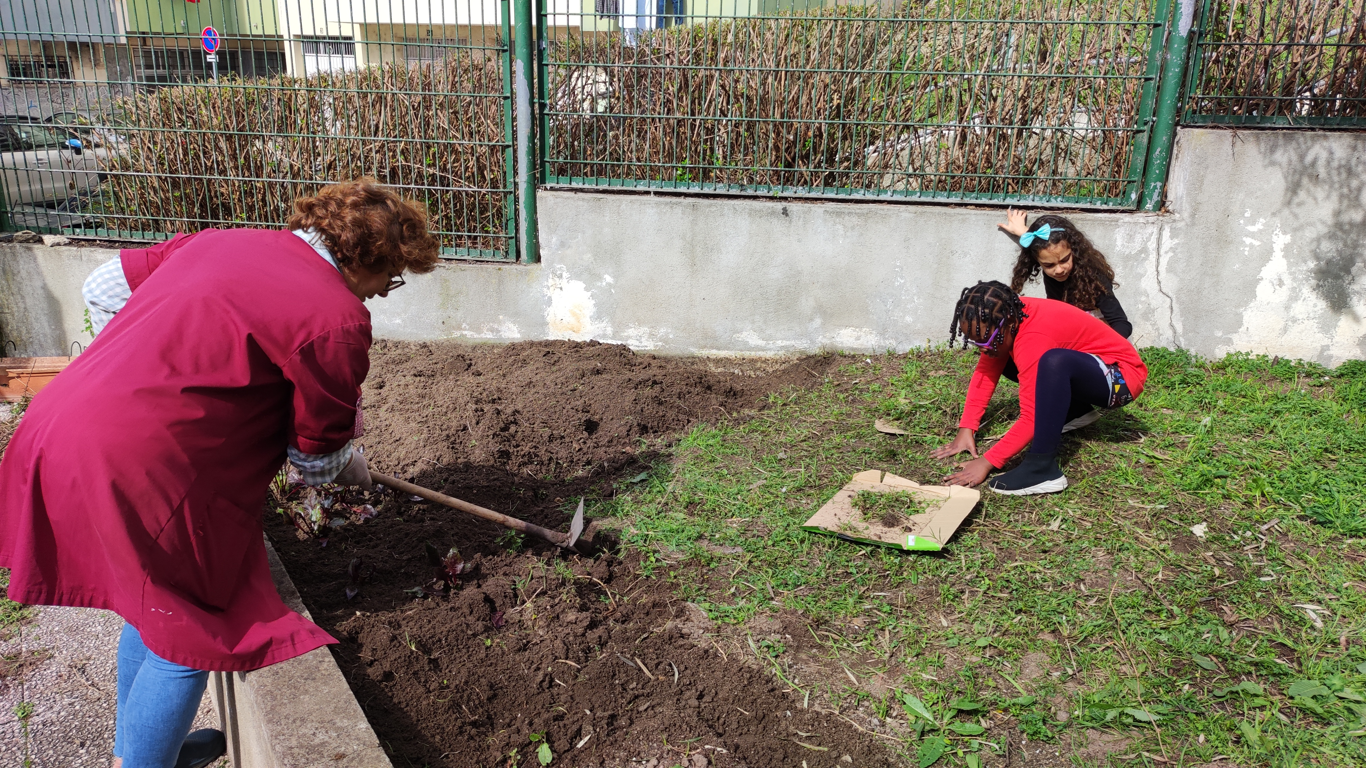 Alunos e Assistente Operacional ajudam fresar a terra retirando as espécies indesejadas e preparando a horta para o cultivo.