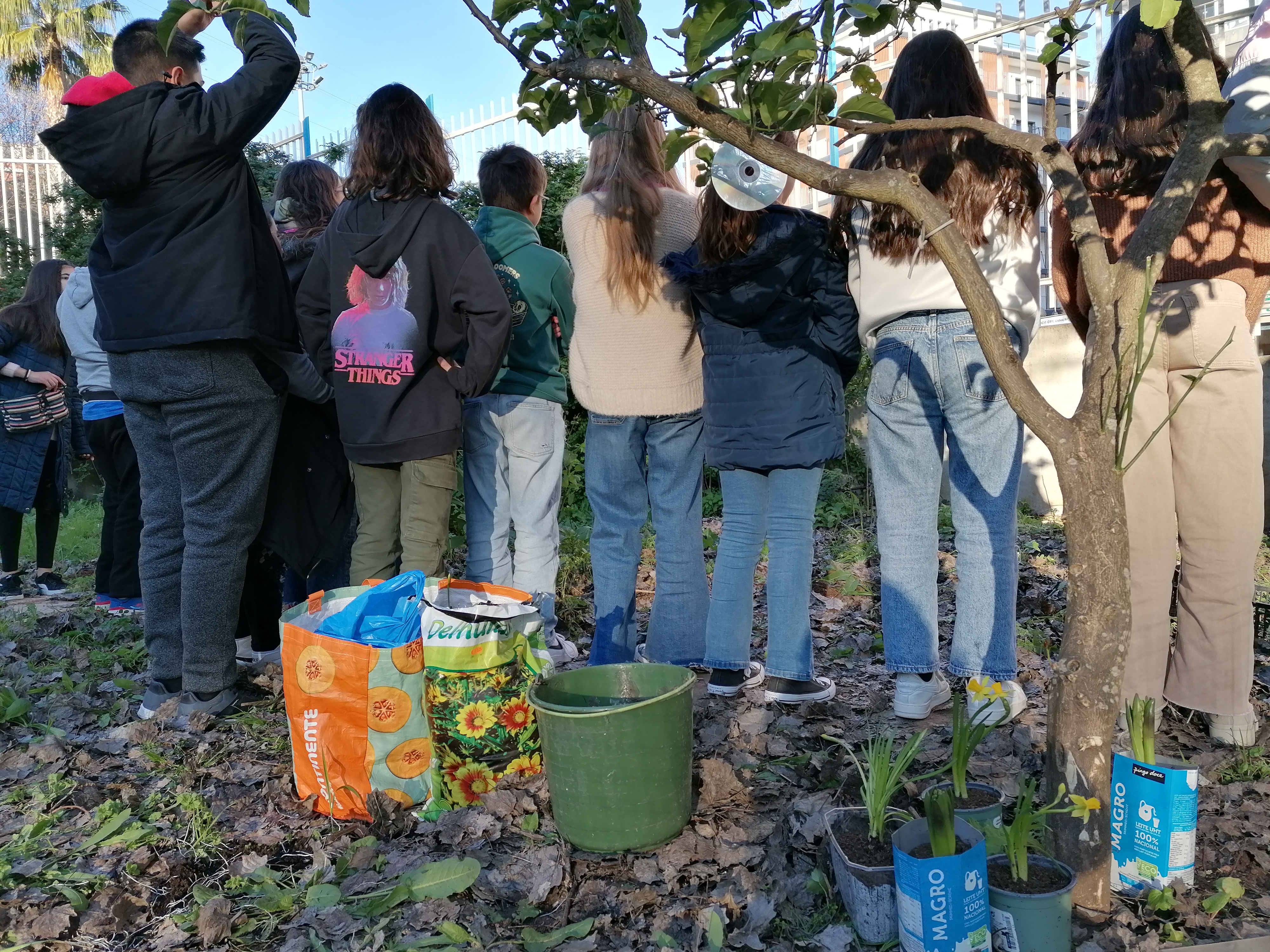 Fase inicial da Horta - alunos do 7.º D no final da atividade de plantio de bolbos de narcisos e jacintos.